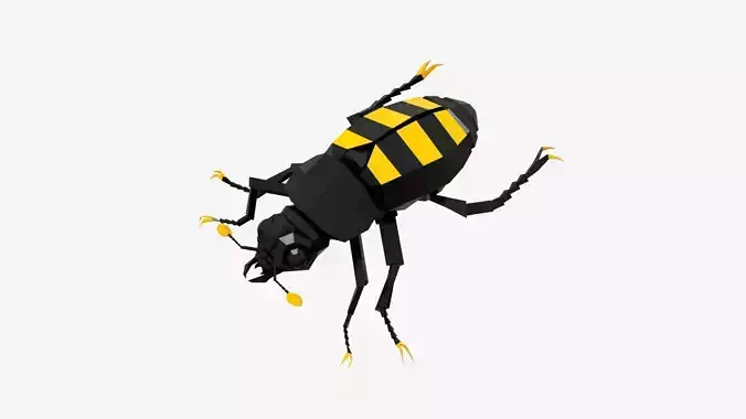 Bug low poly beetle