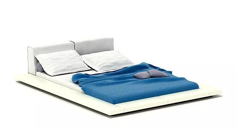 Low Floor Bed 3D model_0