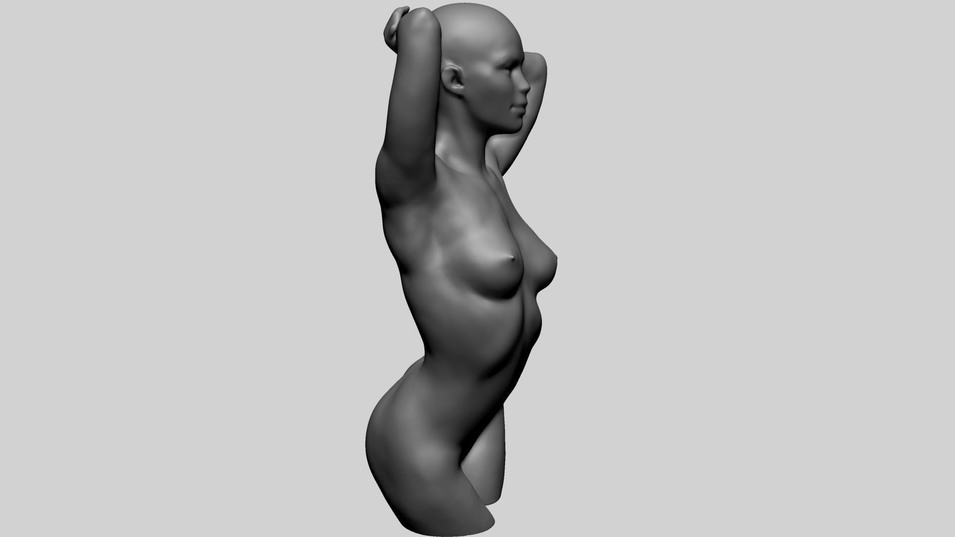 Female Torso B 3D model_3
