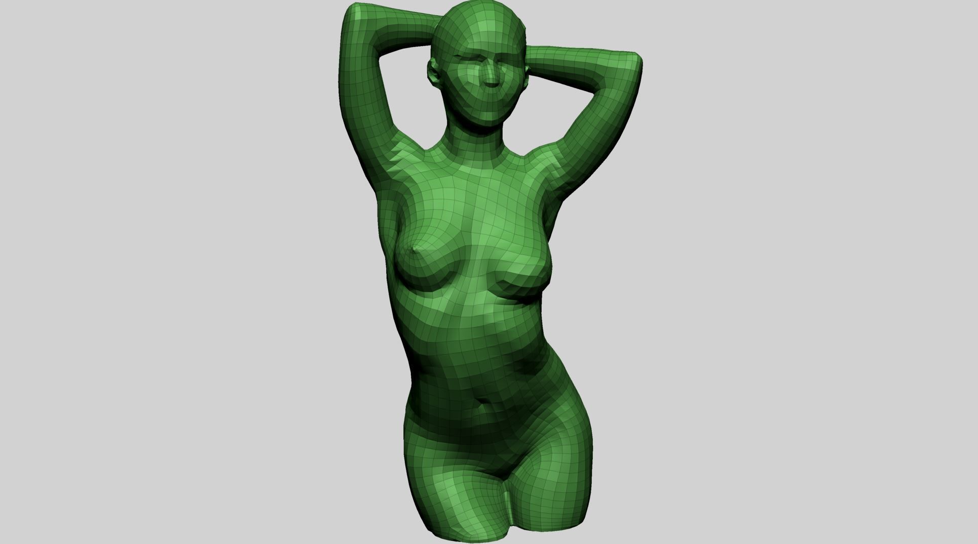 Female Torso B 3D model_9