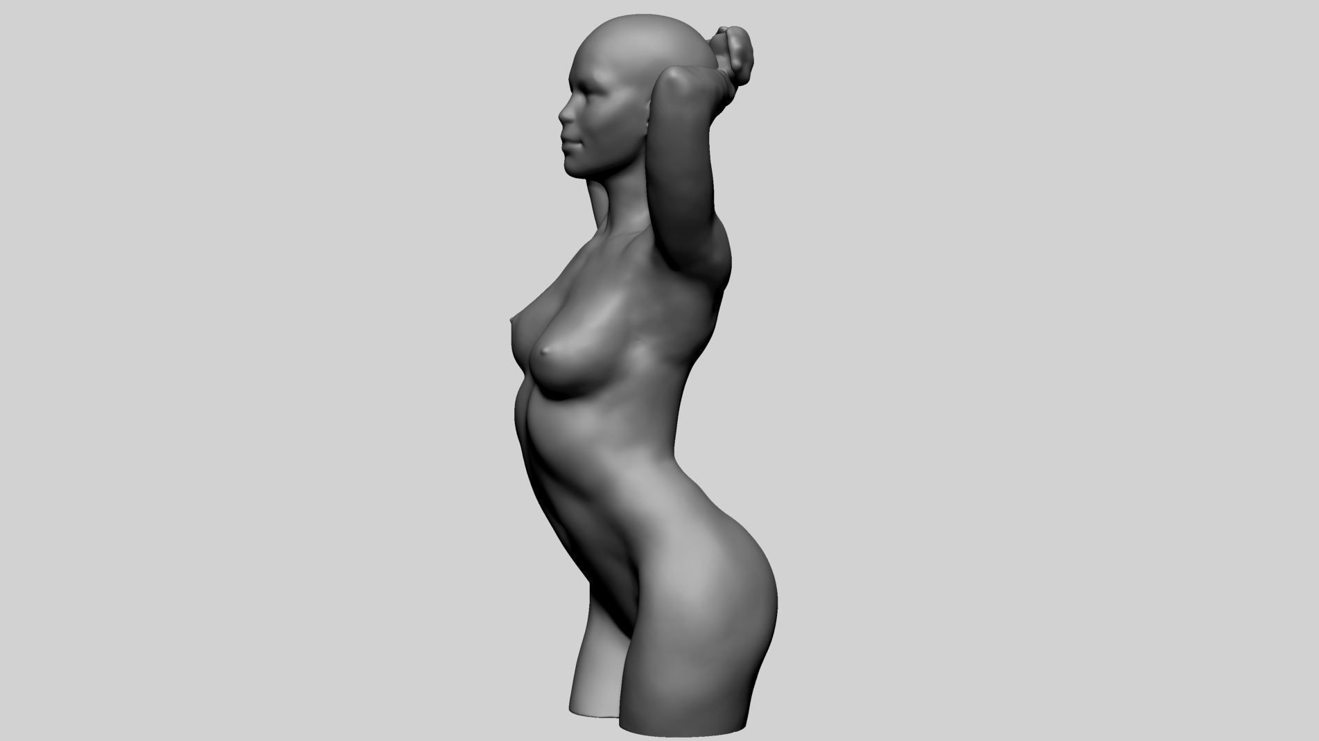 Female Torso B 3D model_7