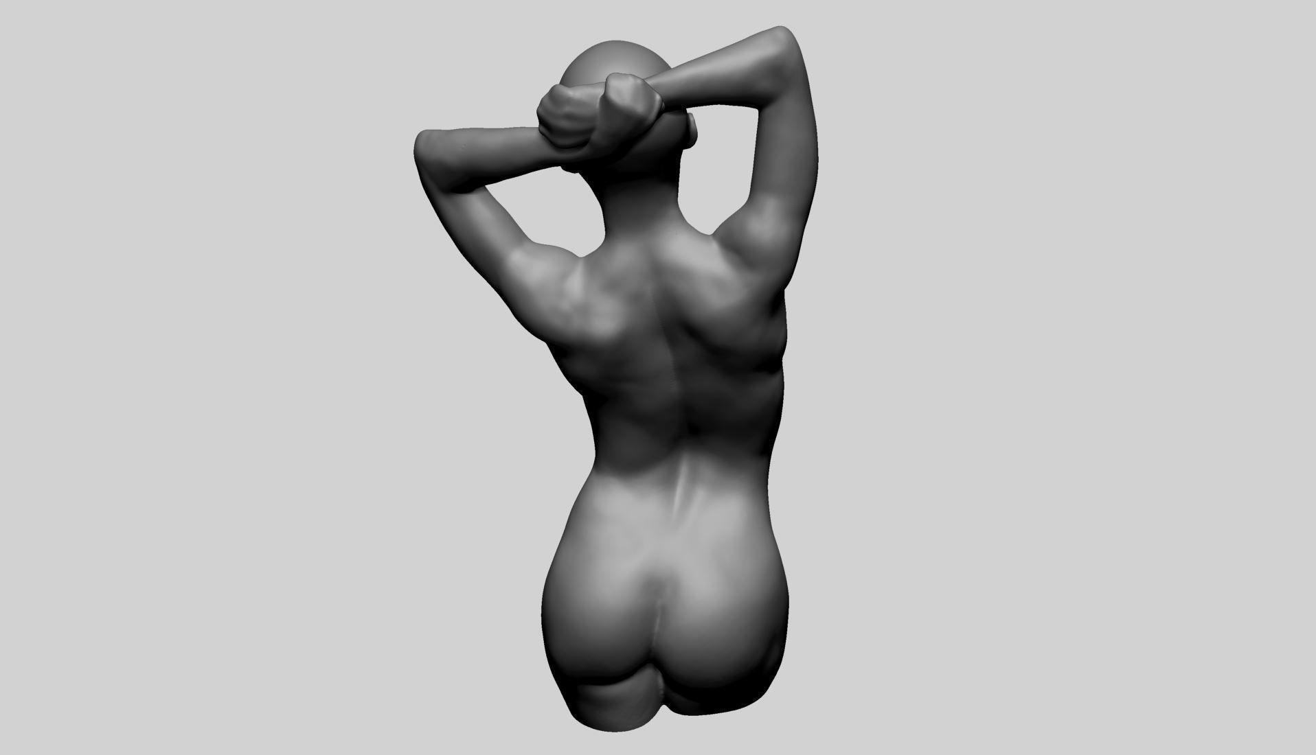 Female Torso B 3D model_6