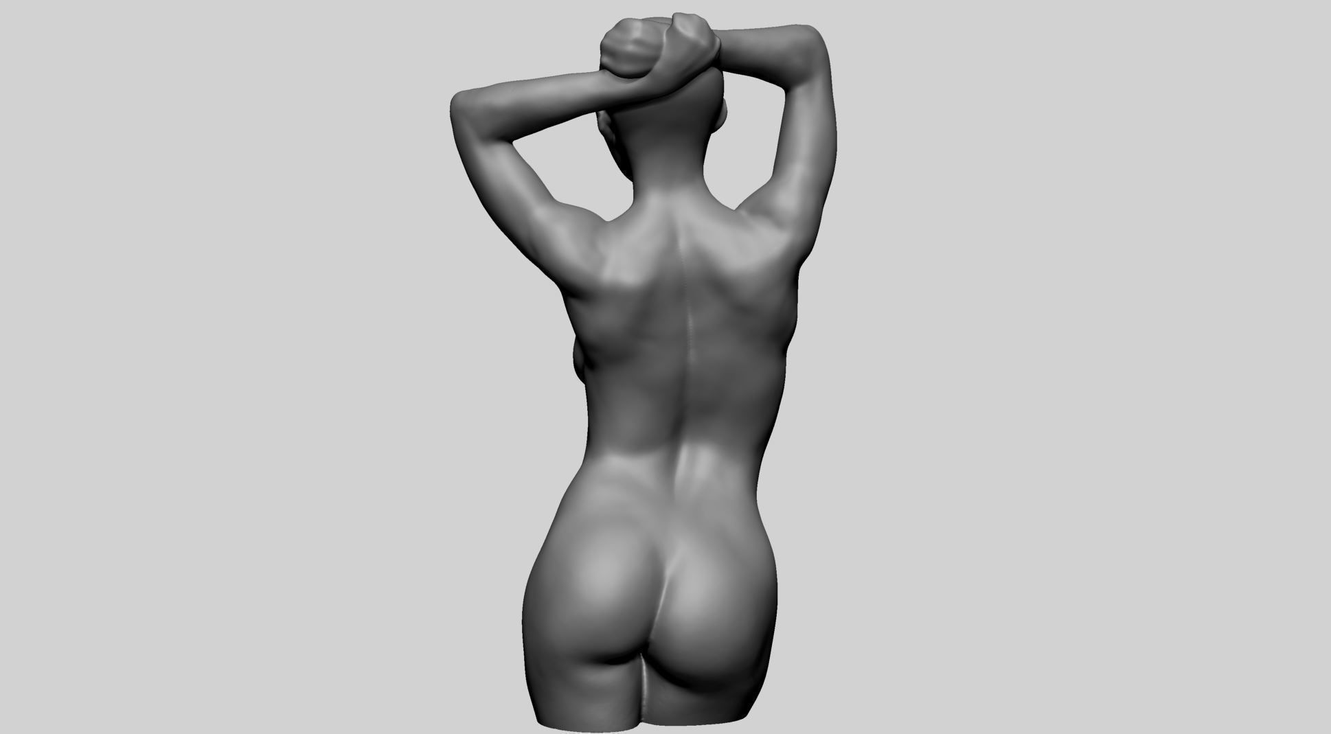 Female Torso B 3D model_5
