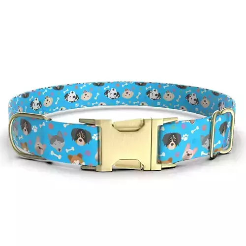 Dog Collar 