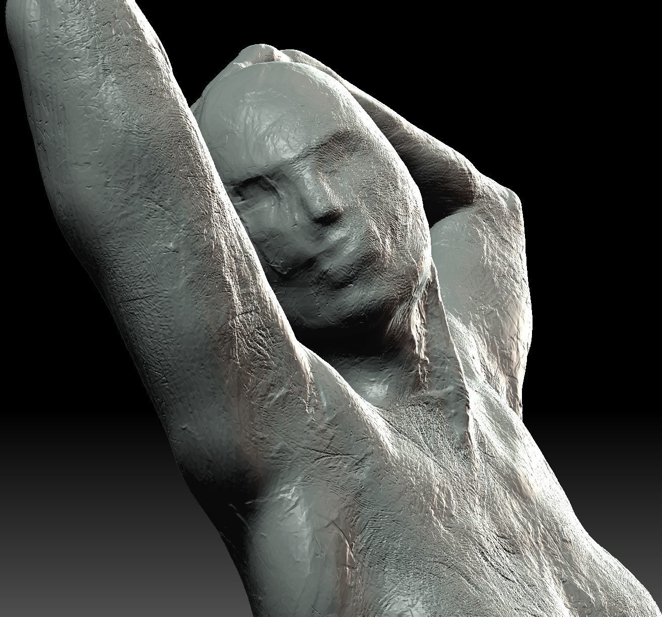 Sculpt 4 of 1000 Sculpts in a year 3D print model_3