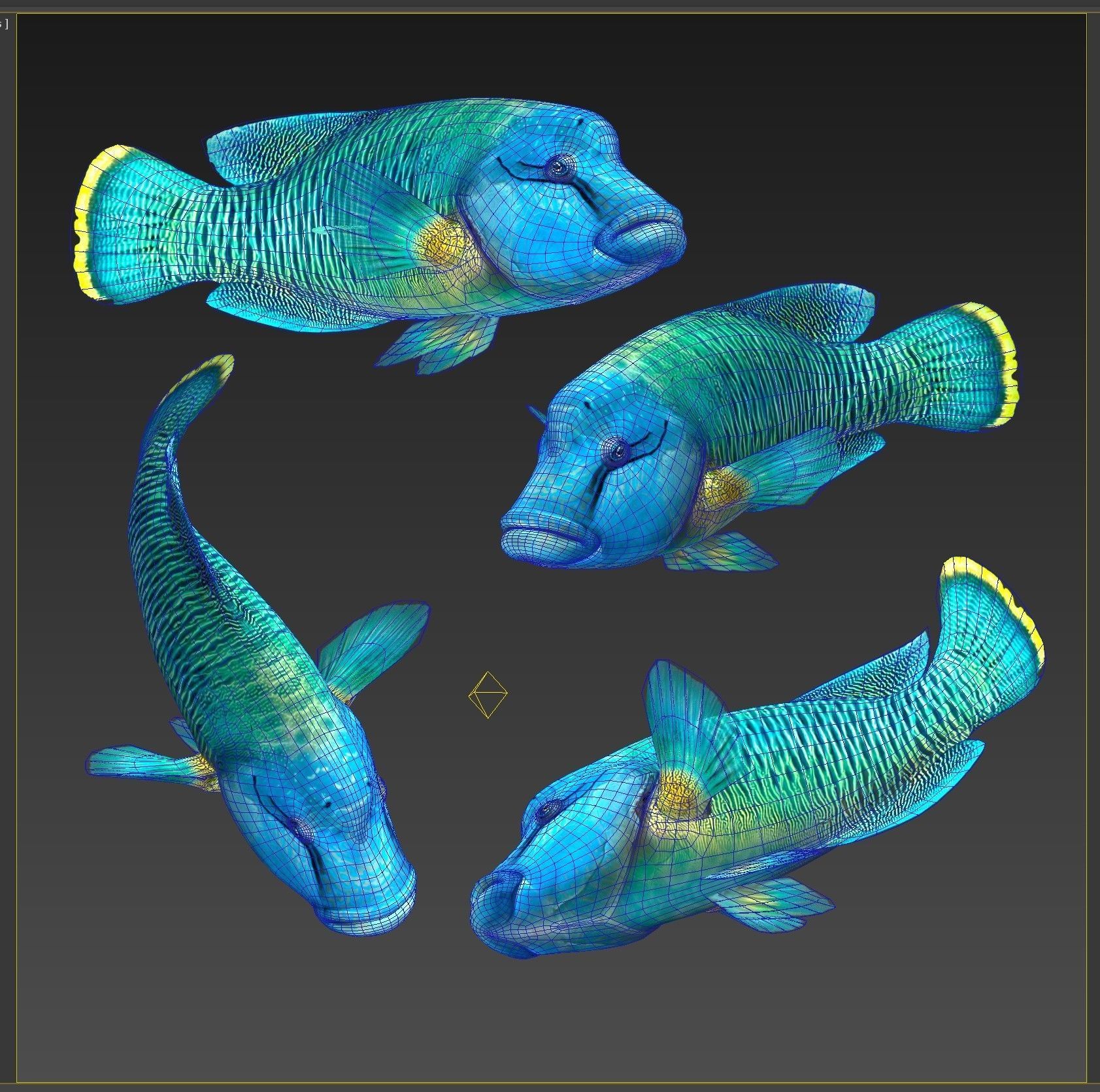 Fish Humphead Wrasse or Napoleonfish Low-poly 3D model_9