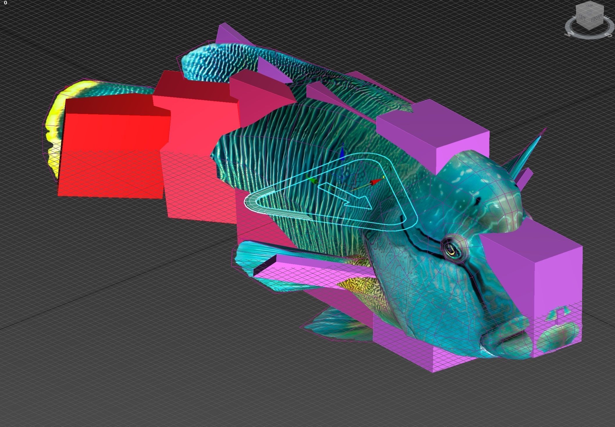 Fish Humphead Wrasse or Napoleonfish Low-poly 3D model_14