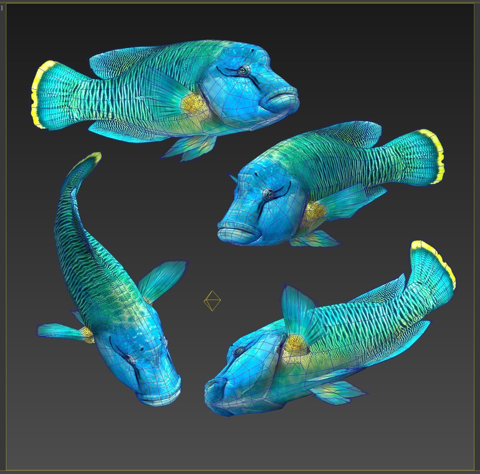Fish Humphead Wrasse or Napoleonfish Low-poly 3D model_8
