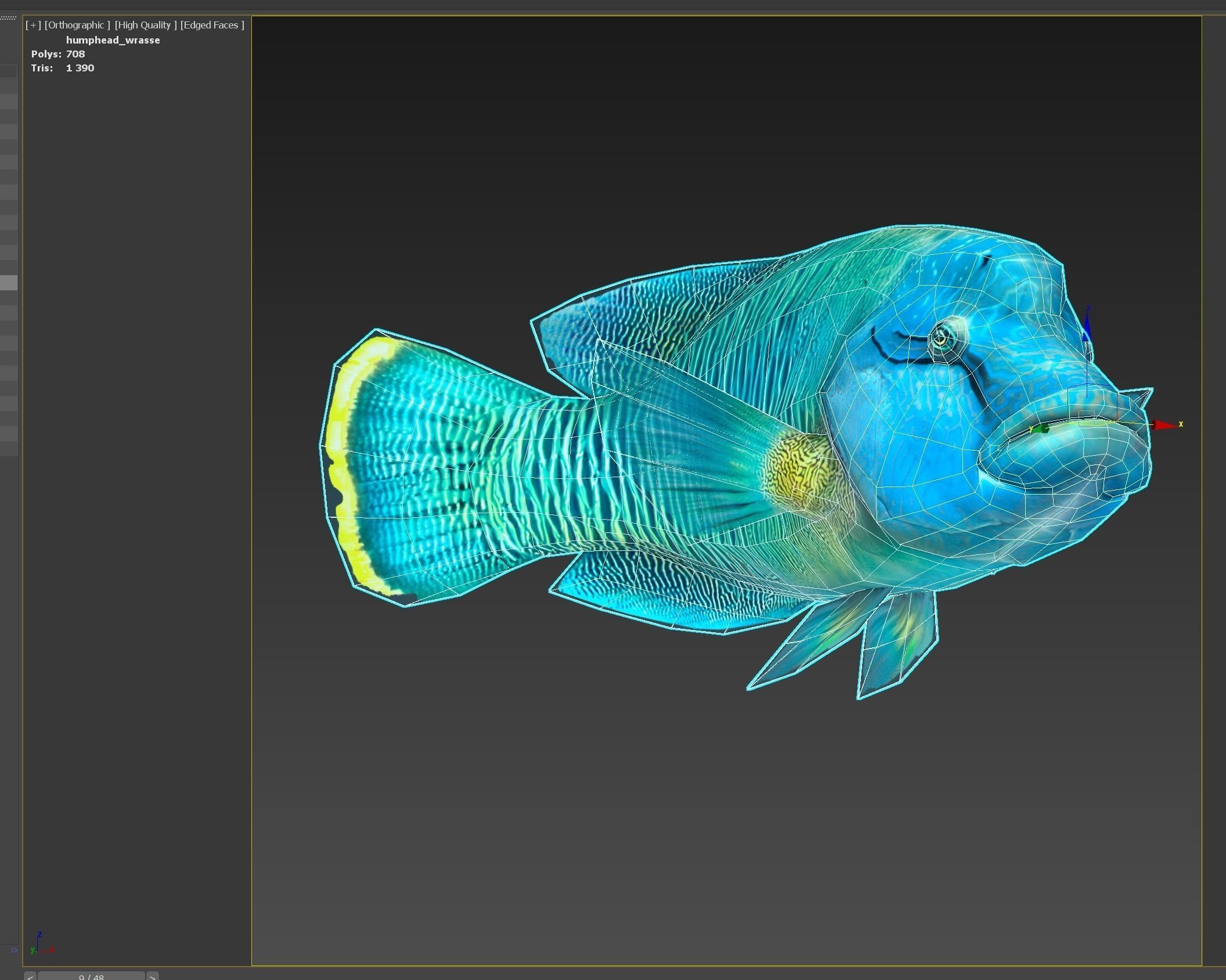 Fish Humphead Wrasse or Napoleonfish Low-poly 3D model_7