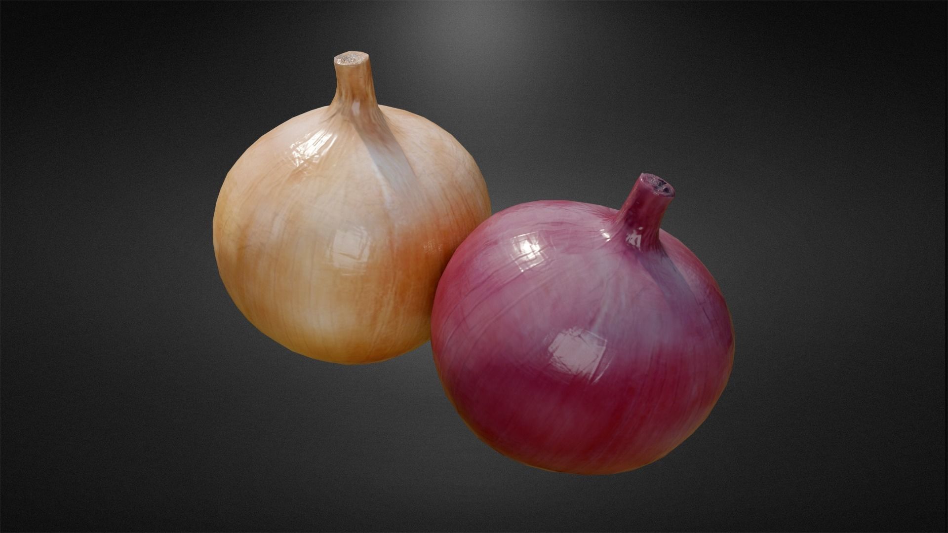 Onion and Low-poly 3D model_2