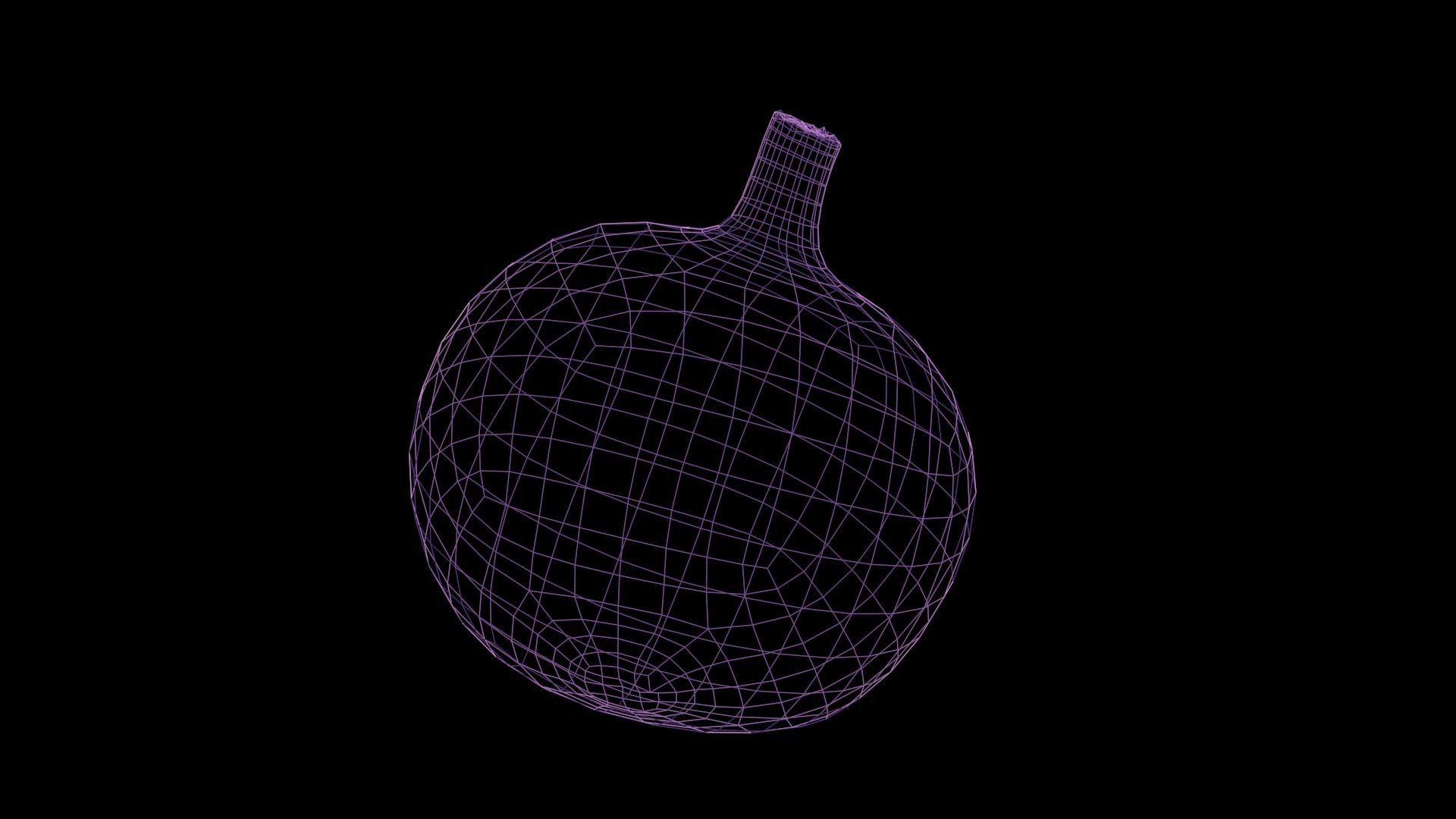 Onion and Low-poly 3D model_9