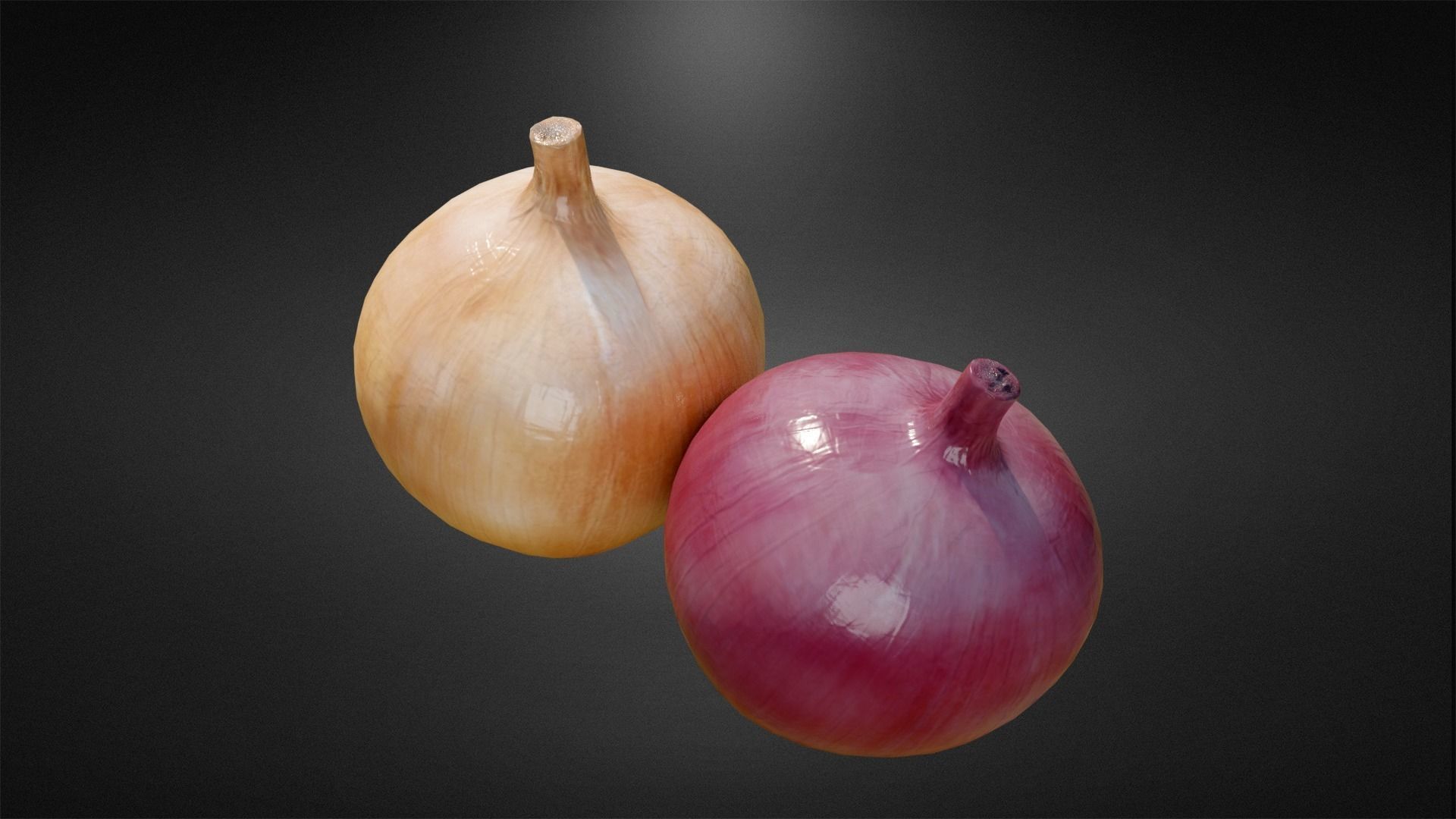 Onion and Low-poly 3D model_3