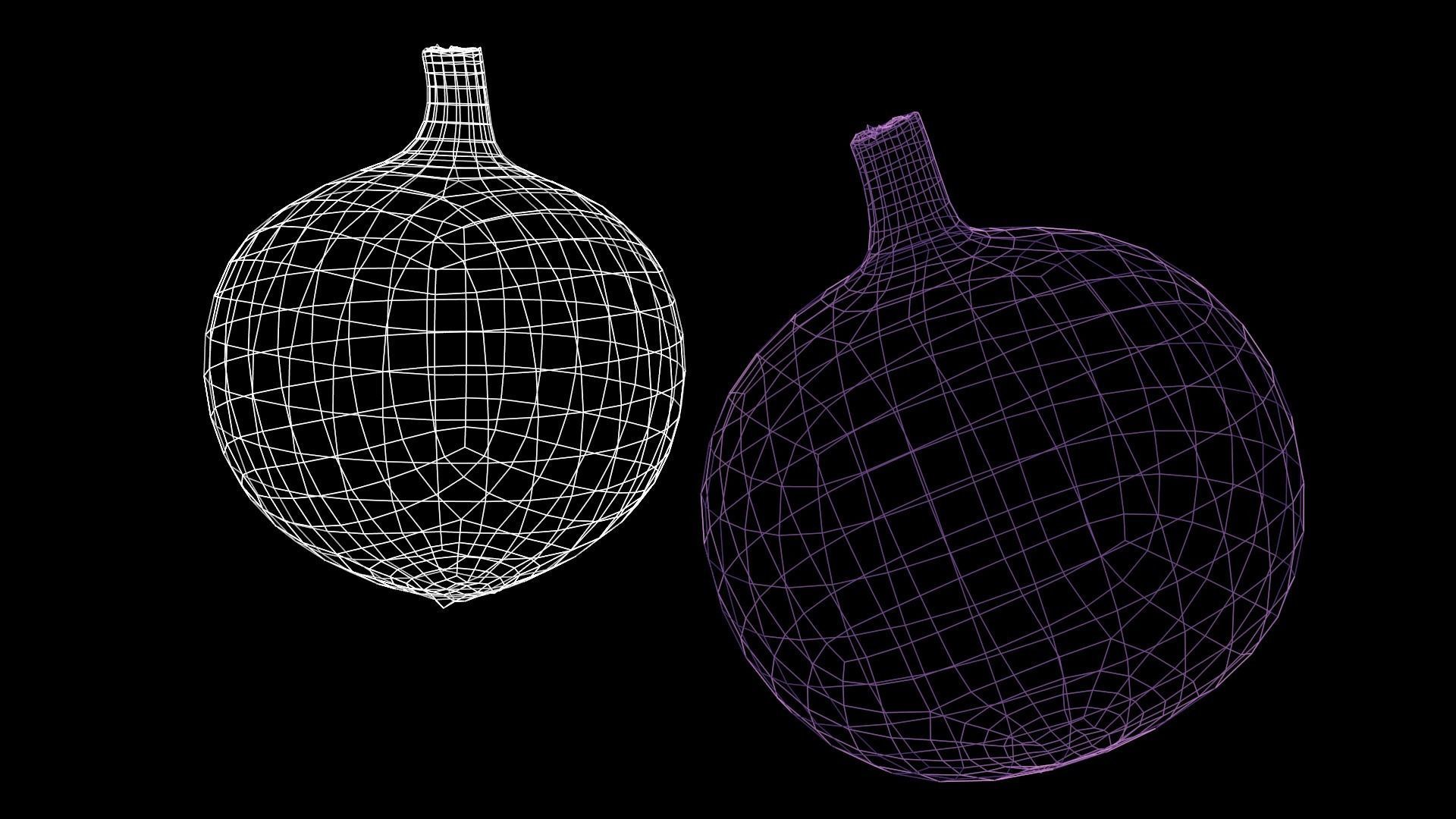 Onion and Low-poly 3D model_7
