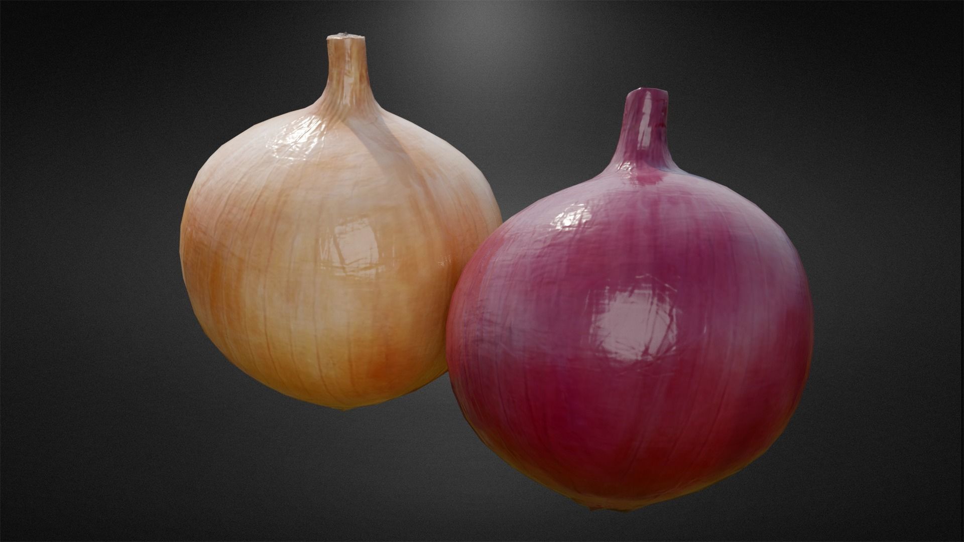 Onion and Low-poly 3D model_1