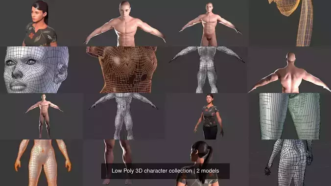 Low Poly 3D character collection meshes of human body 