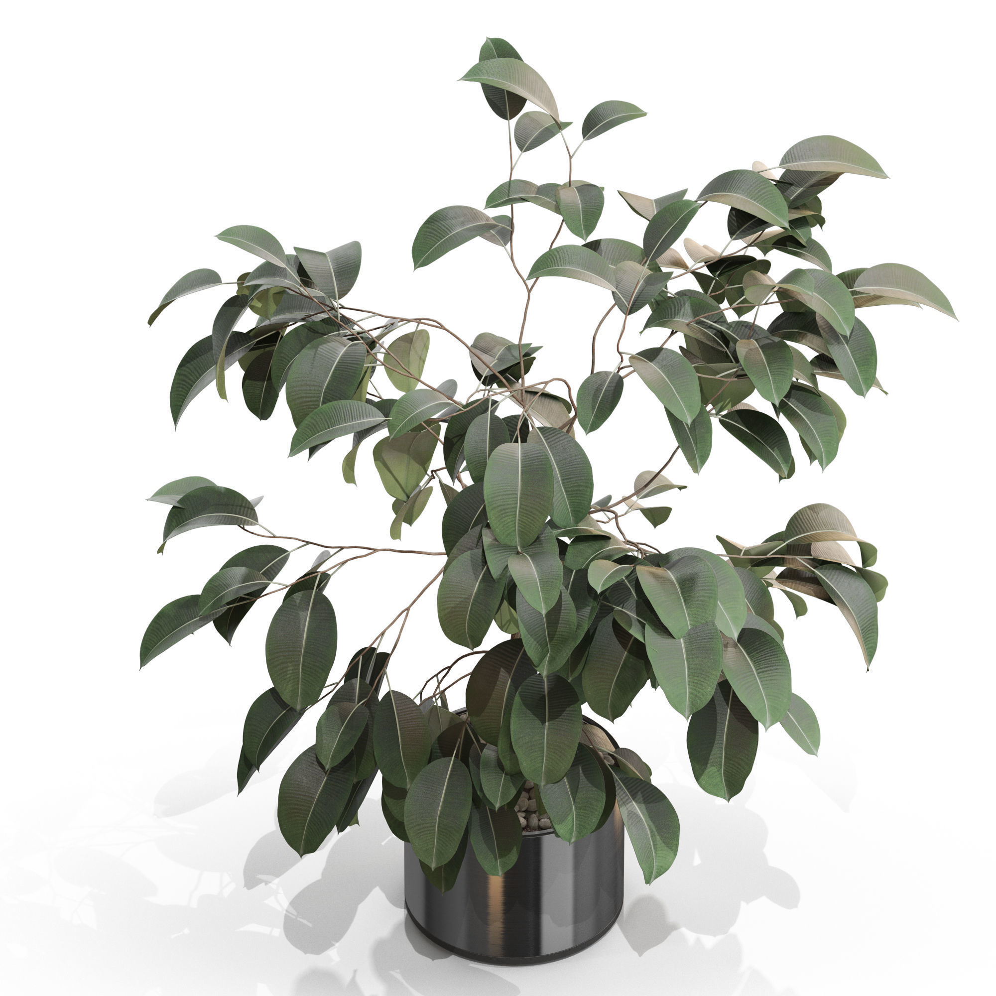 Plants collection 660 3D model_2