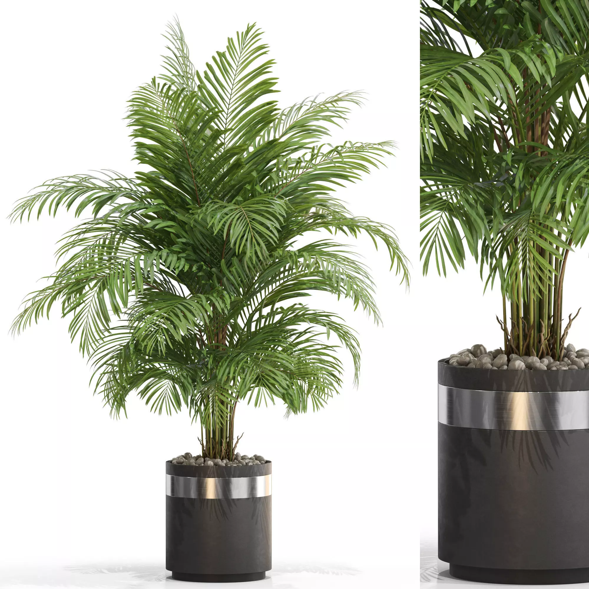 Plants collection 661 3D model_0