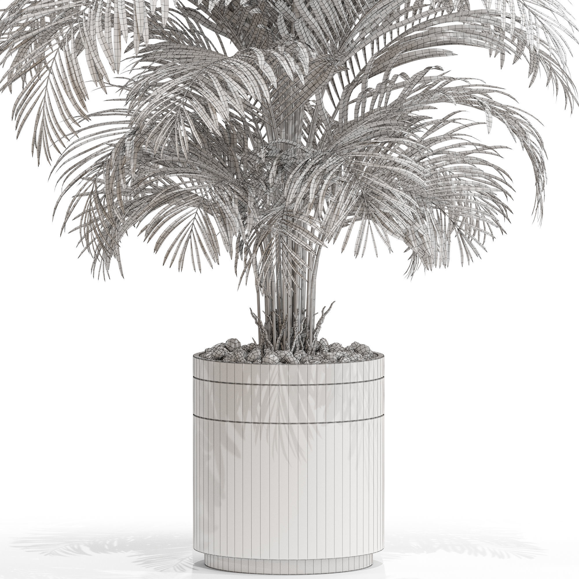 Plants collection 661 3D model_4