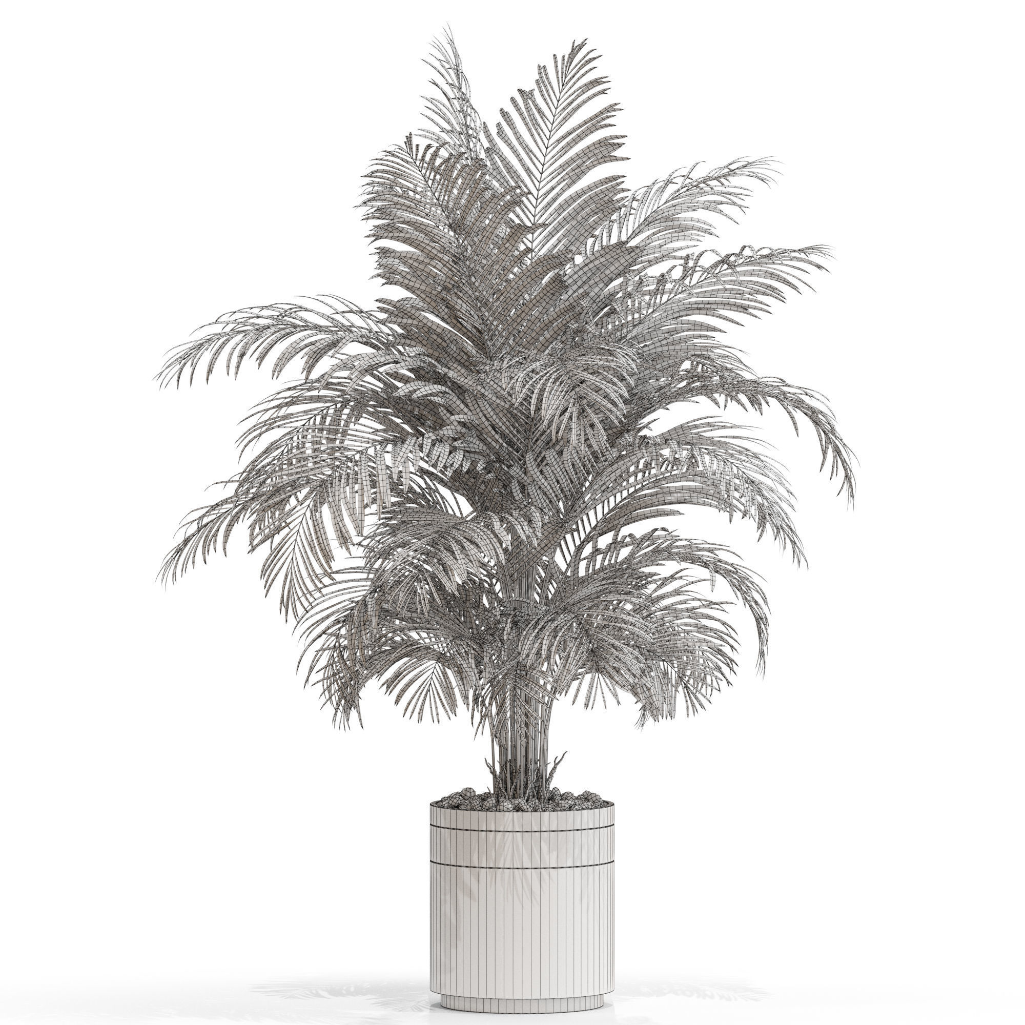 Plants collection 661 3D model_3