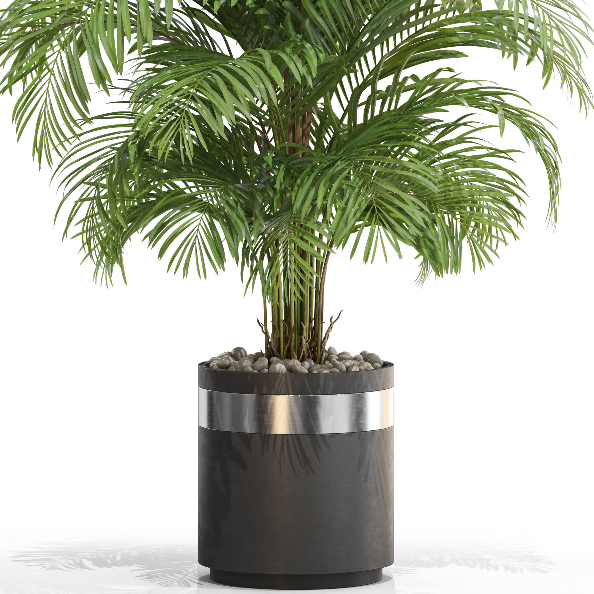 Plants collection 661 3D model_1