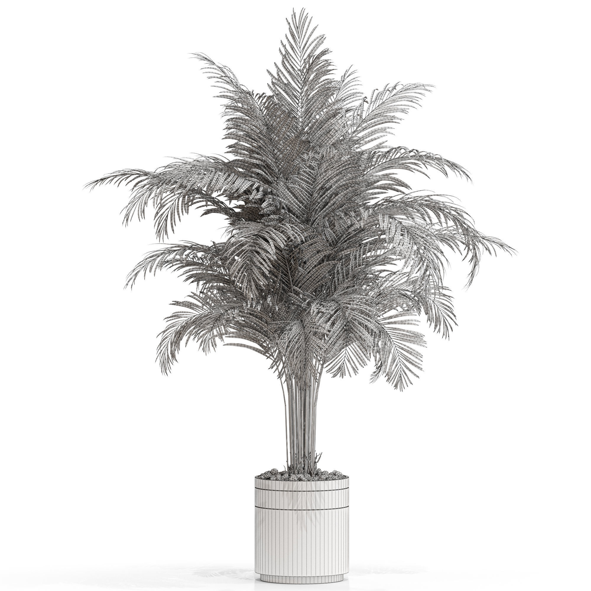 Plants collection 662 3D model_3