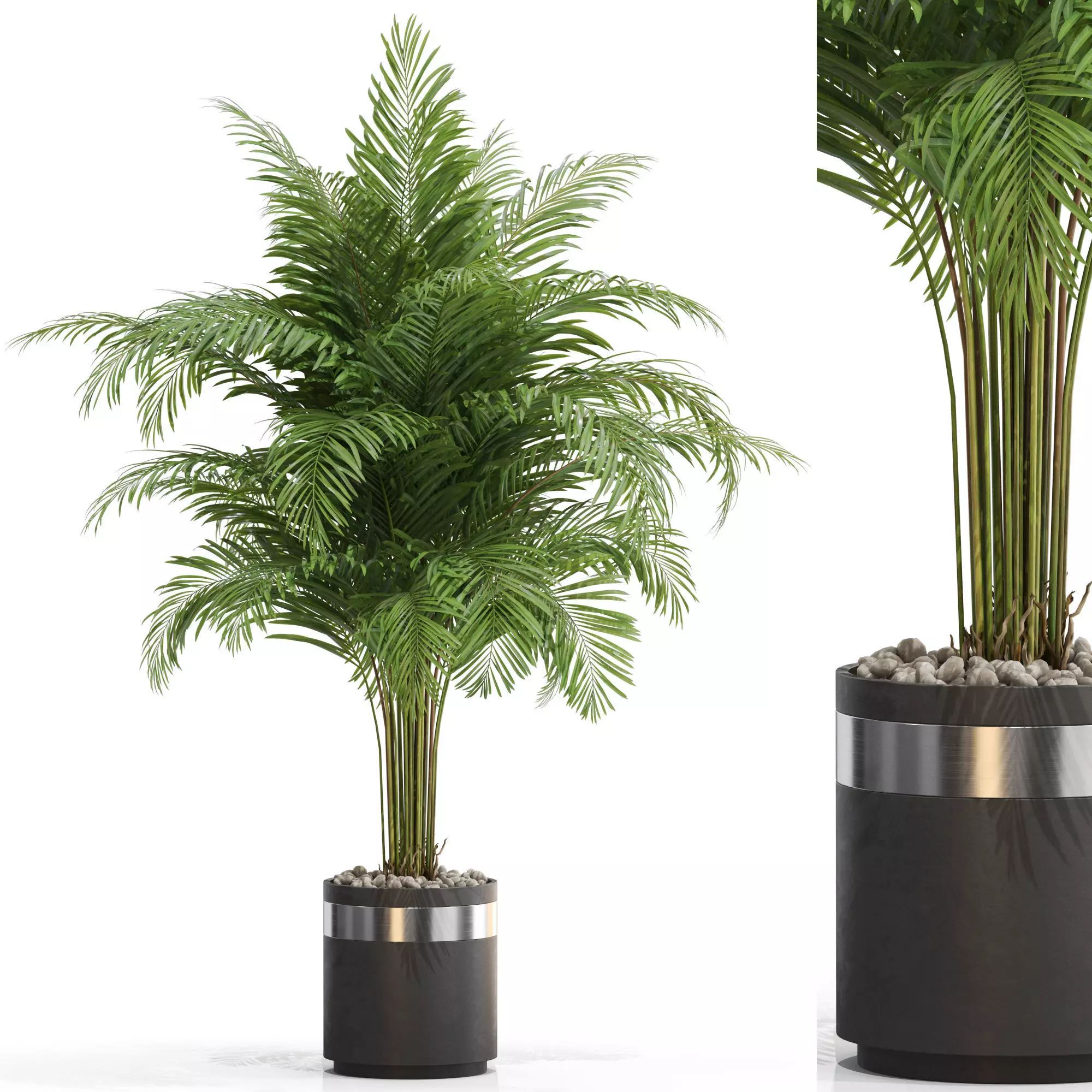 Plants collection 662 3D model_0
