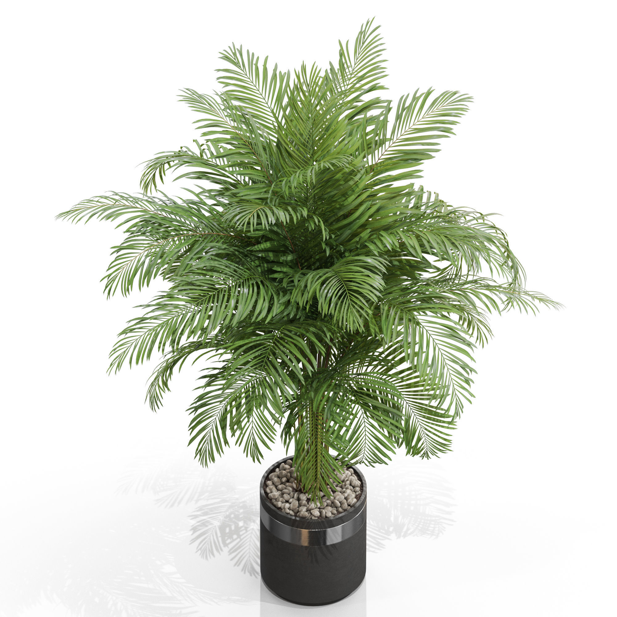 Plants collection 662 3D model_2