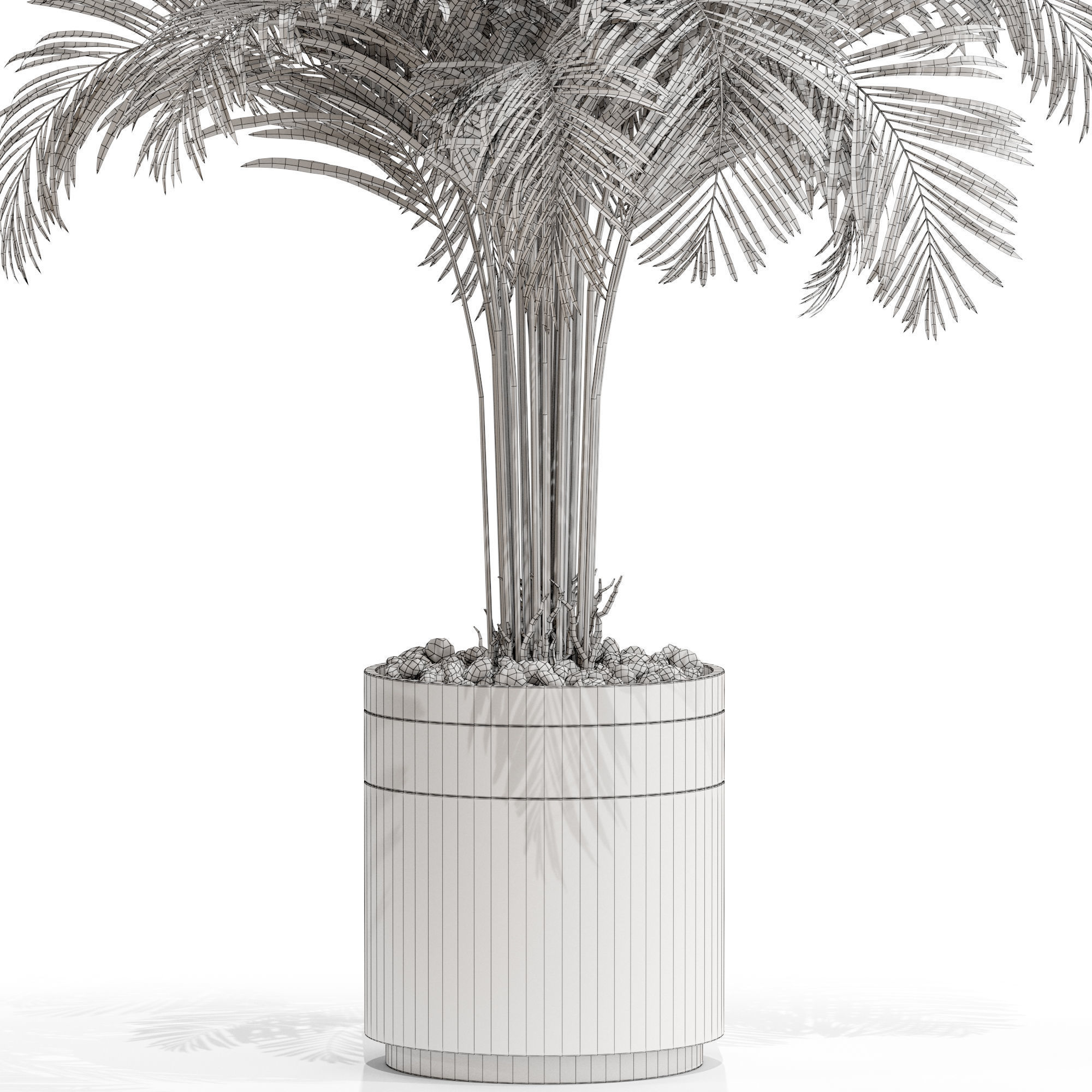 Plants collection 662 3D model_4