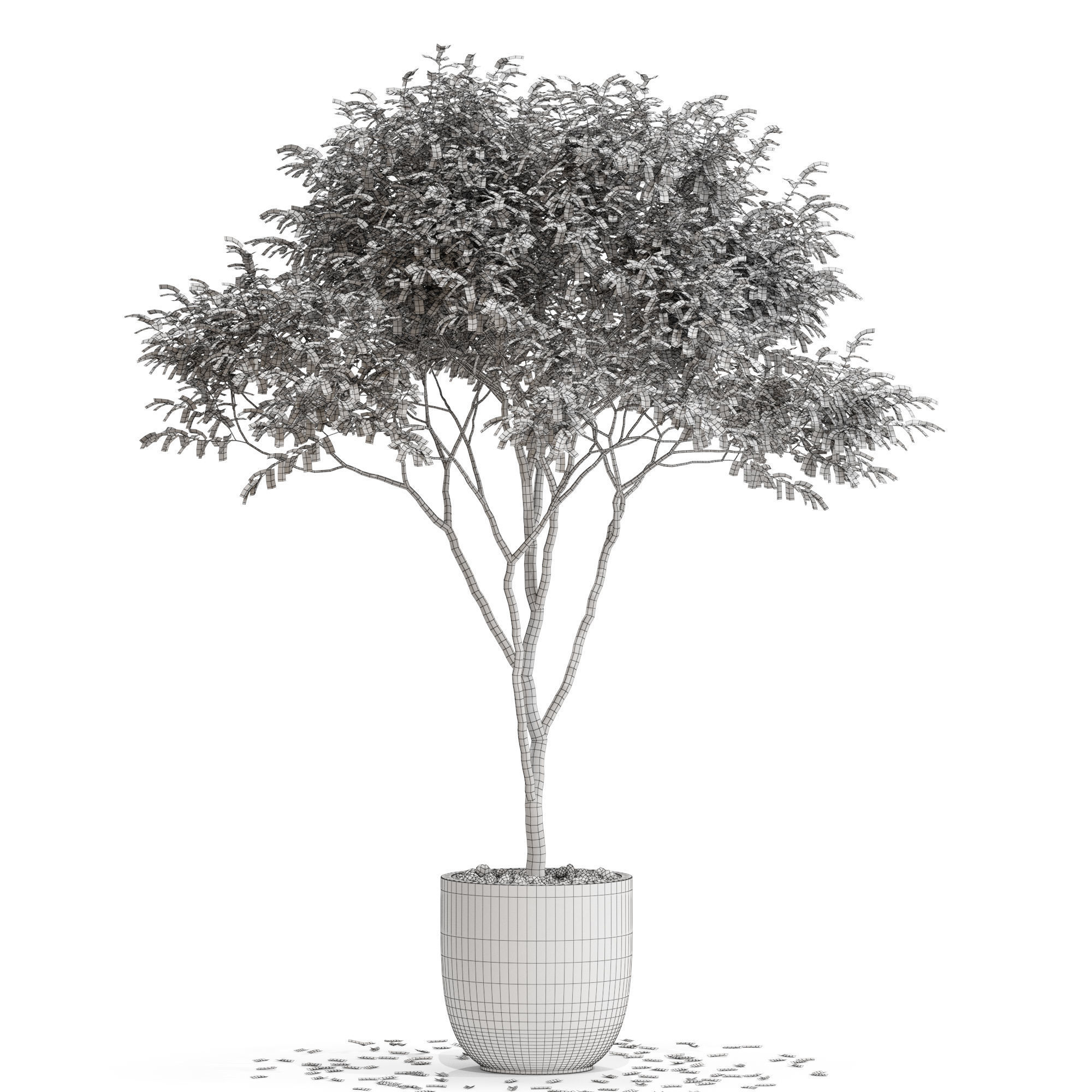 Plants collection 663 3D model_3