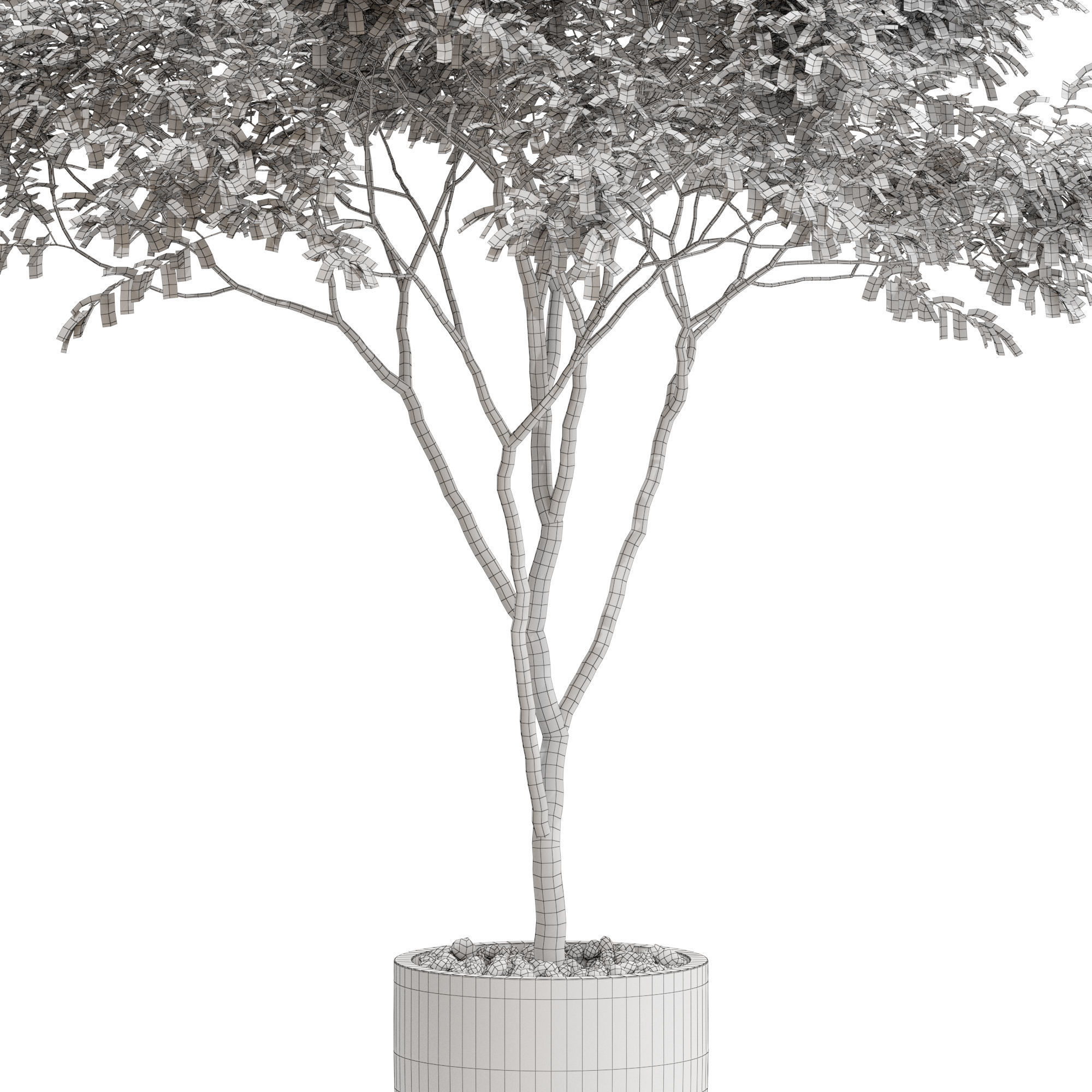 Plants collection 663 3D model_4