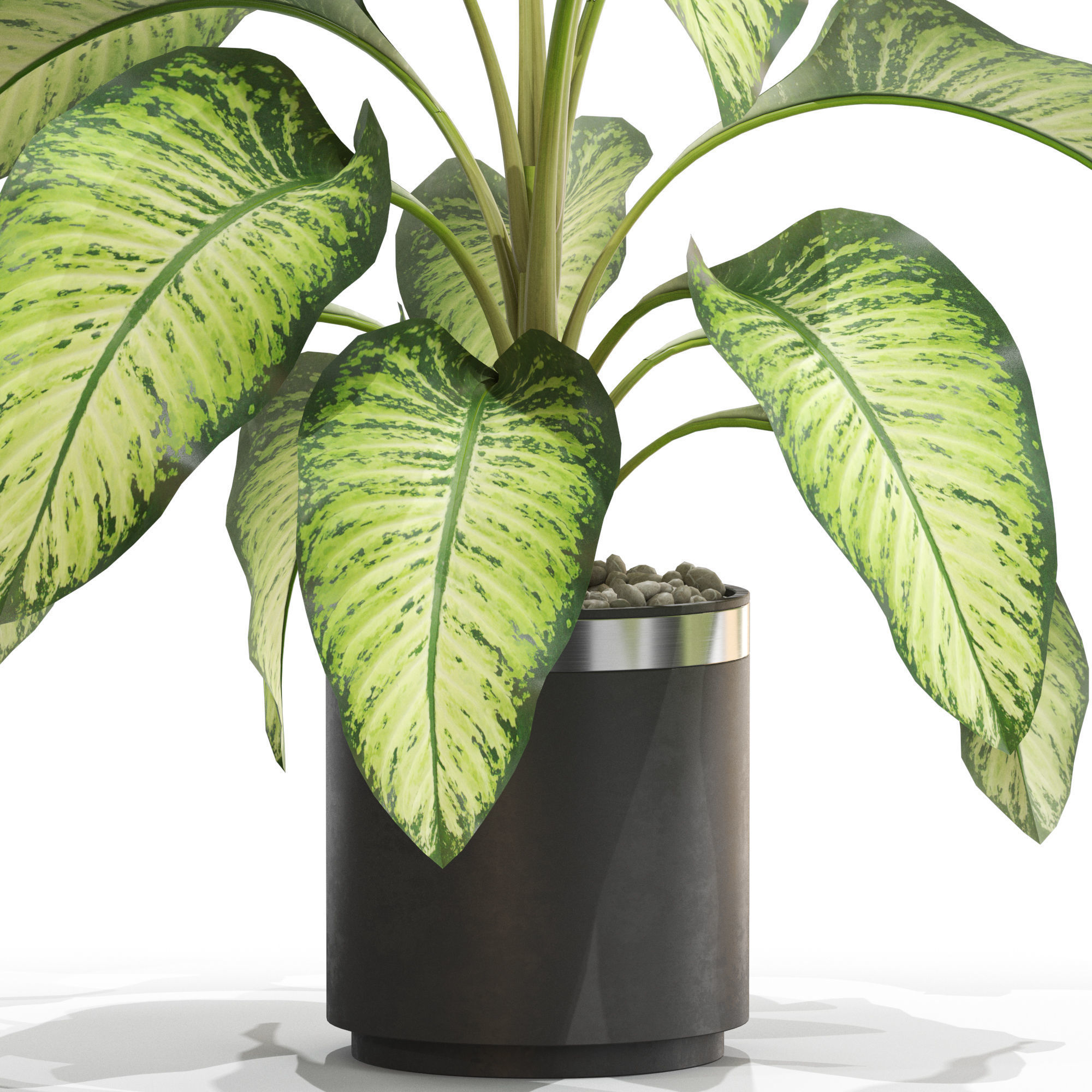 Plants collection 665 3D model_1