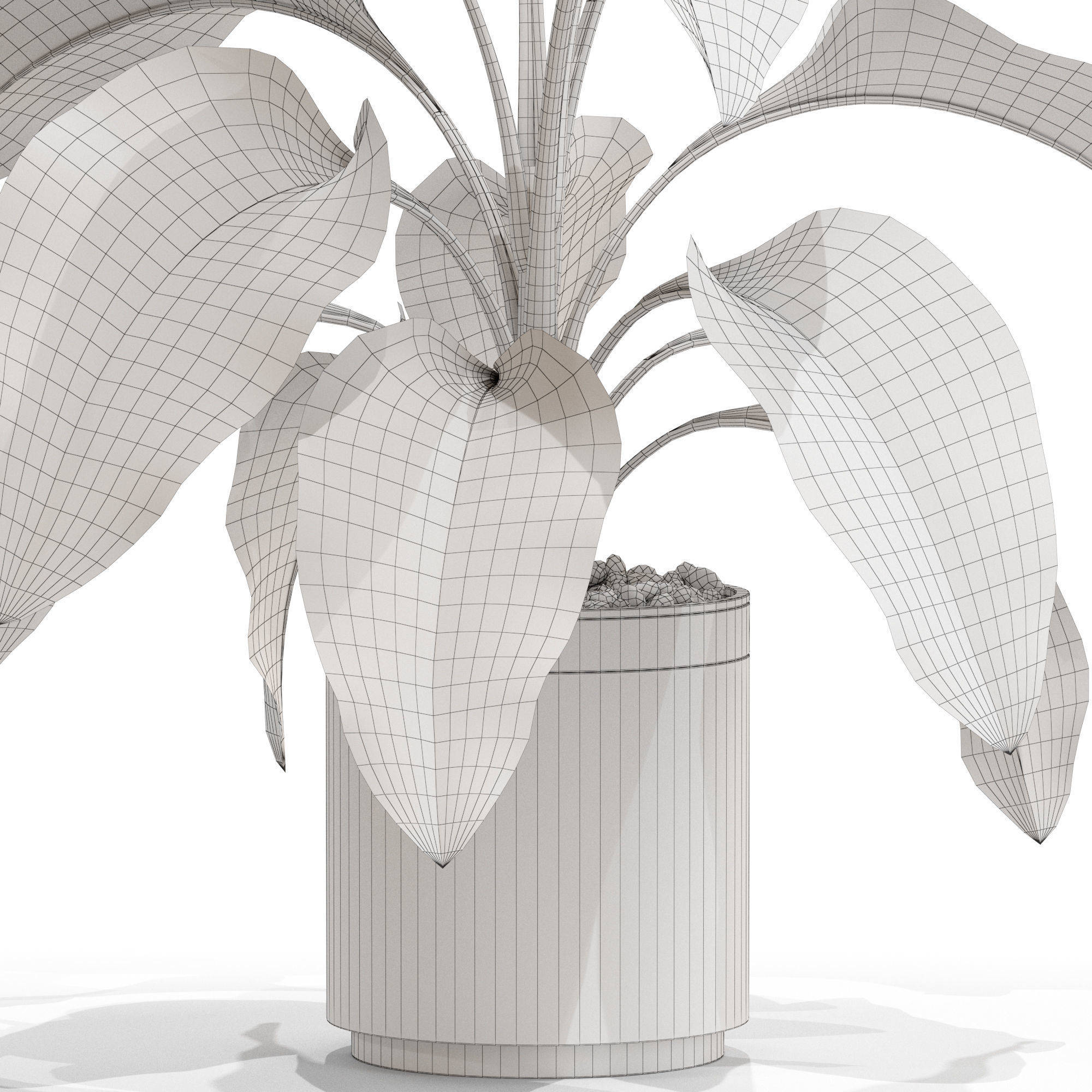 Plants collection 665 3D model_4