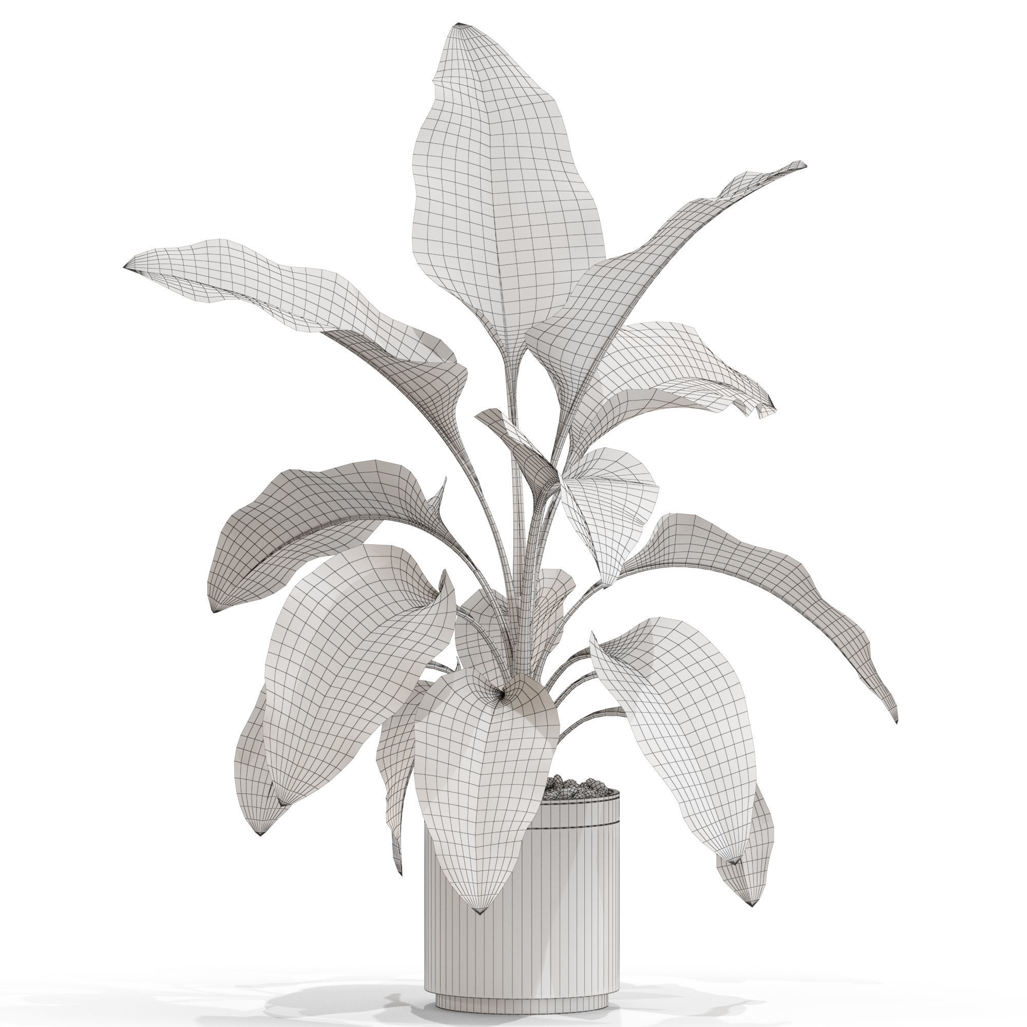 Plants collection 665 3D model_3