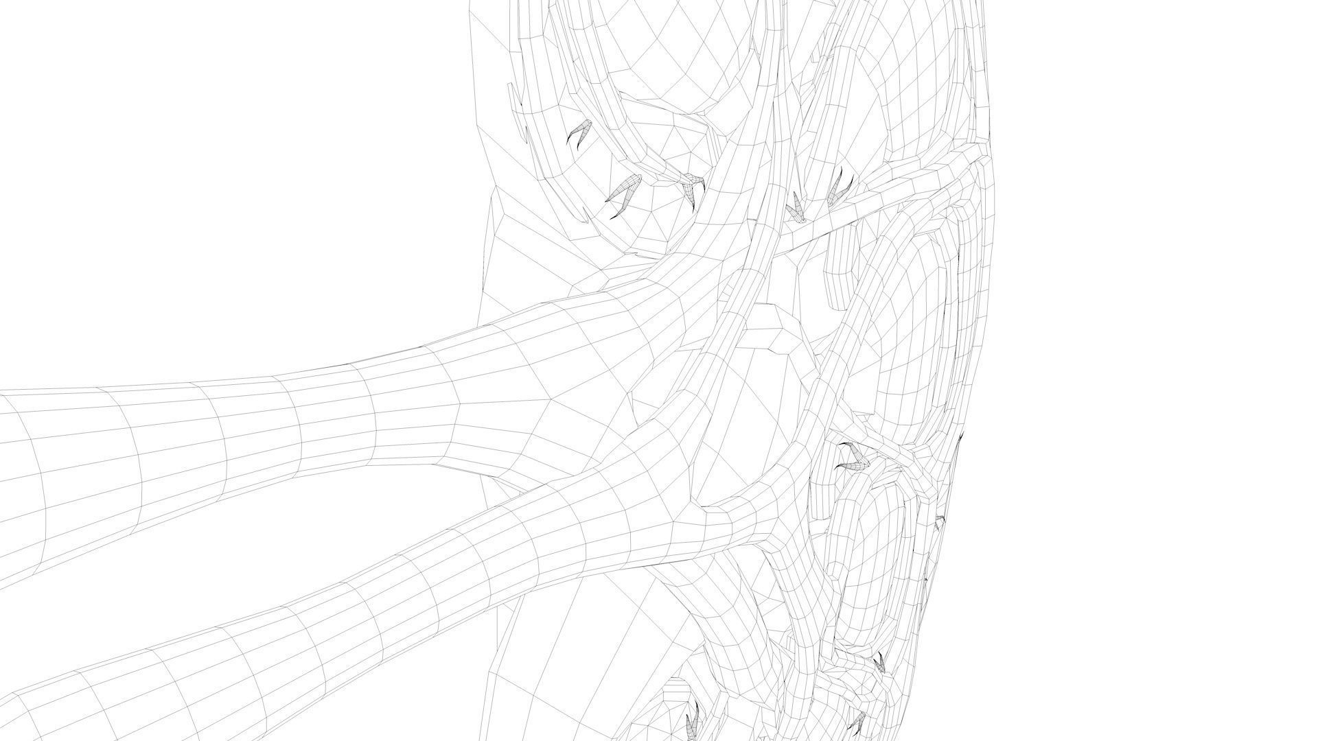 Kidney Anatomy Low-poly 3D model_18