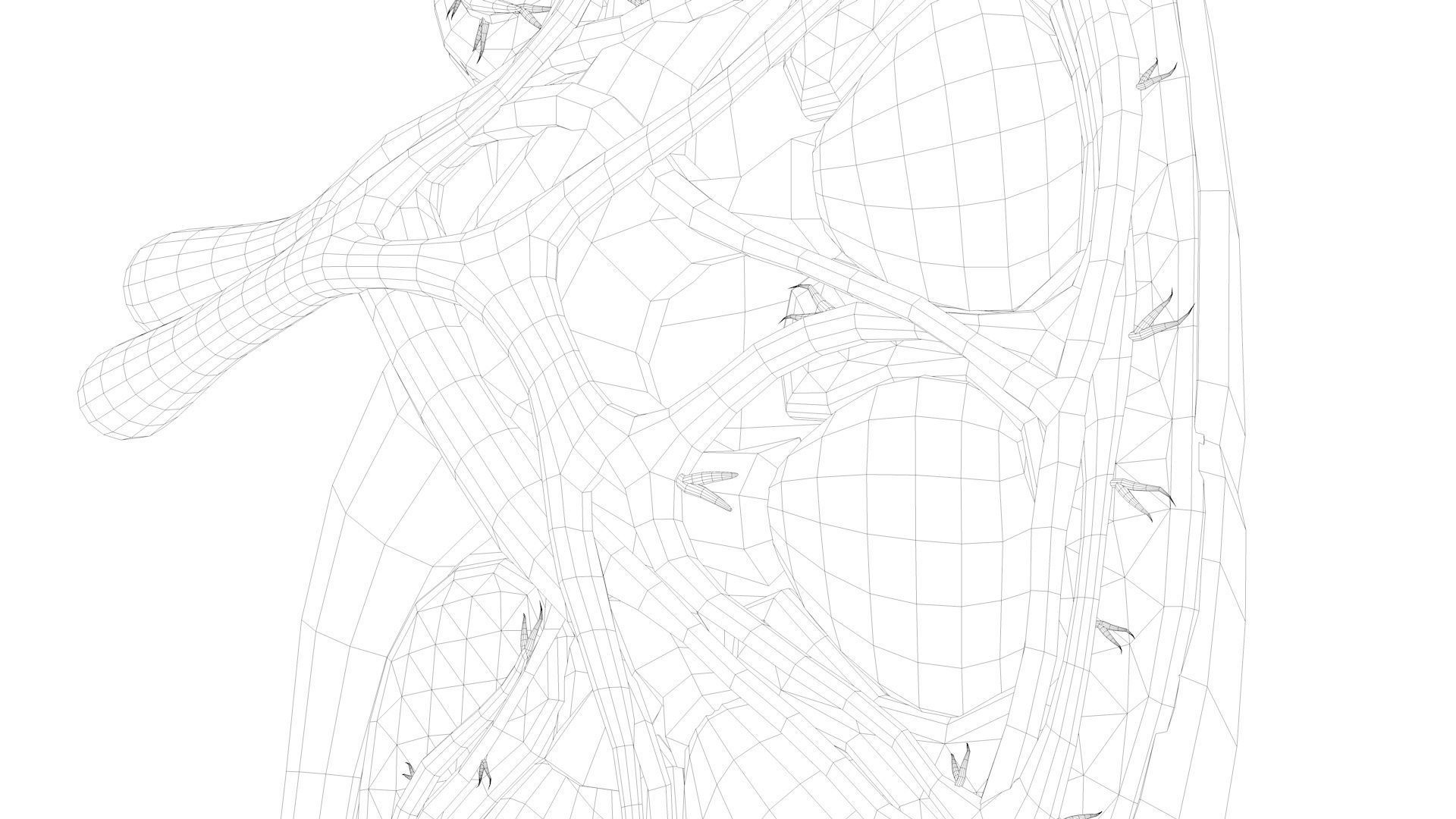 Kidney Anatomy Low-poly 3D model_17