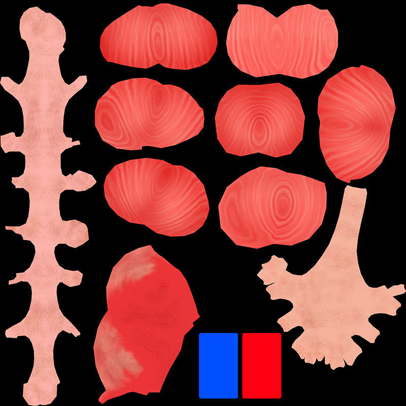 Kidney Anatomy Low-poly 3D model_9