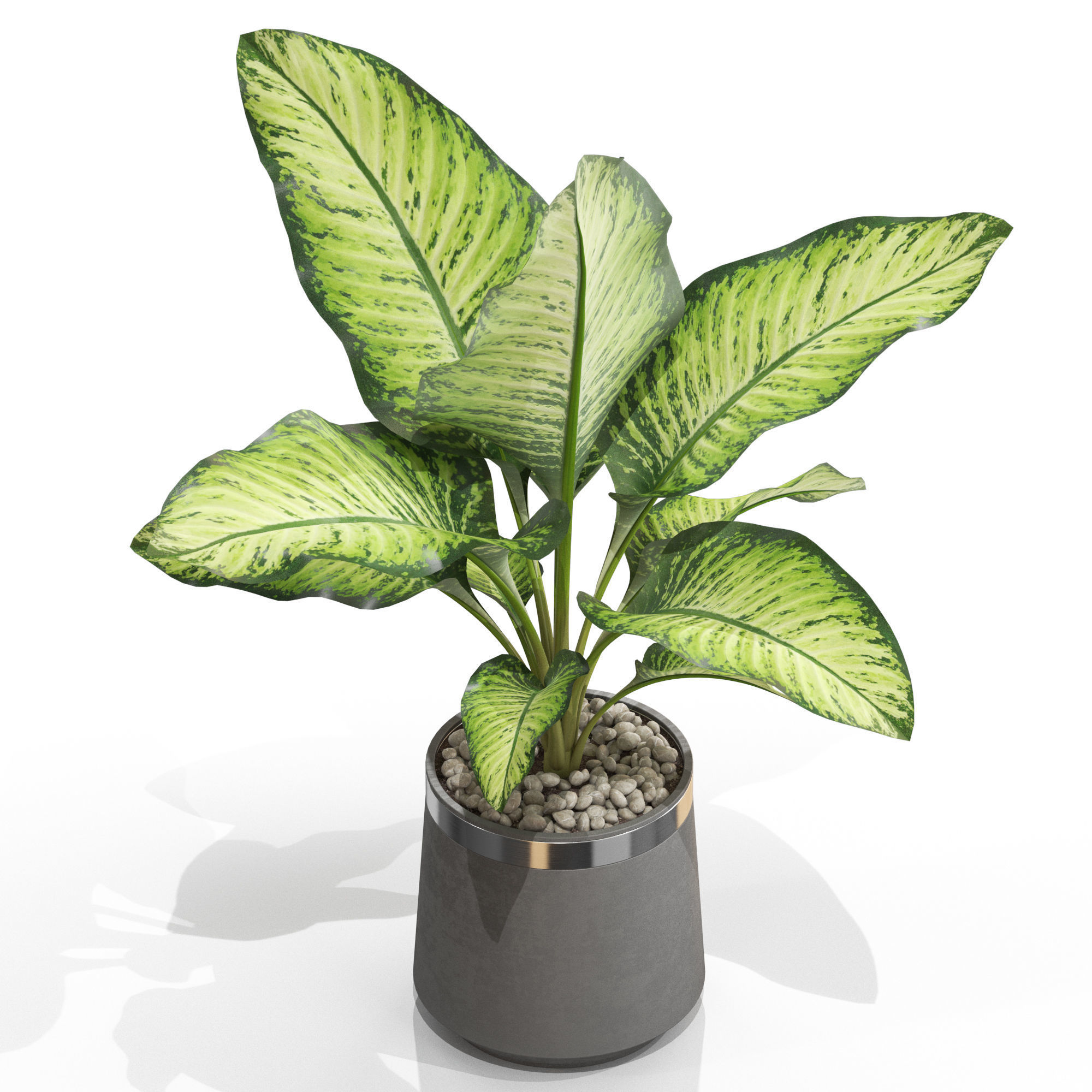 Plants collection 666 3D model_2