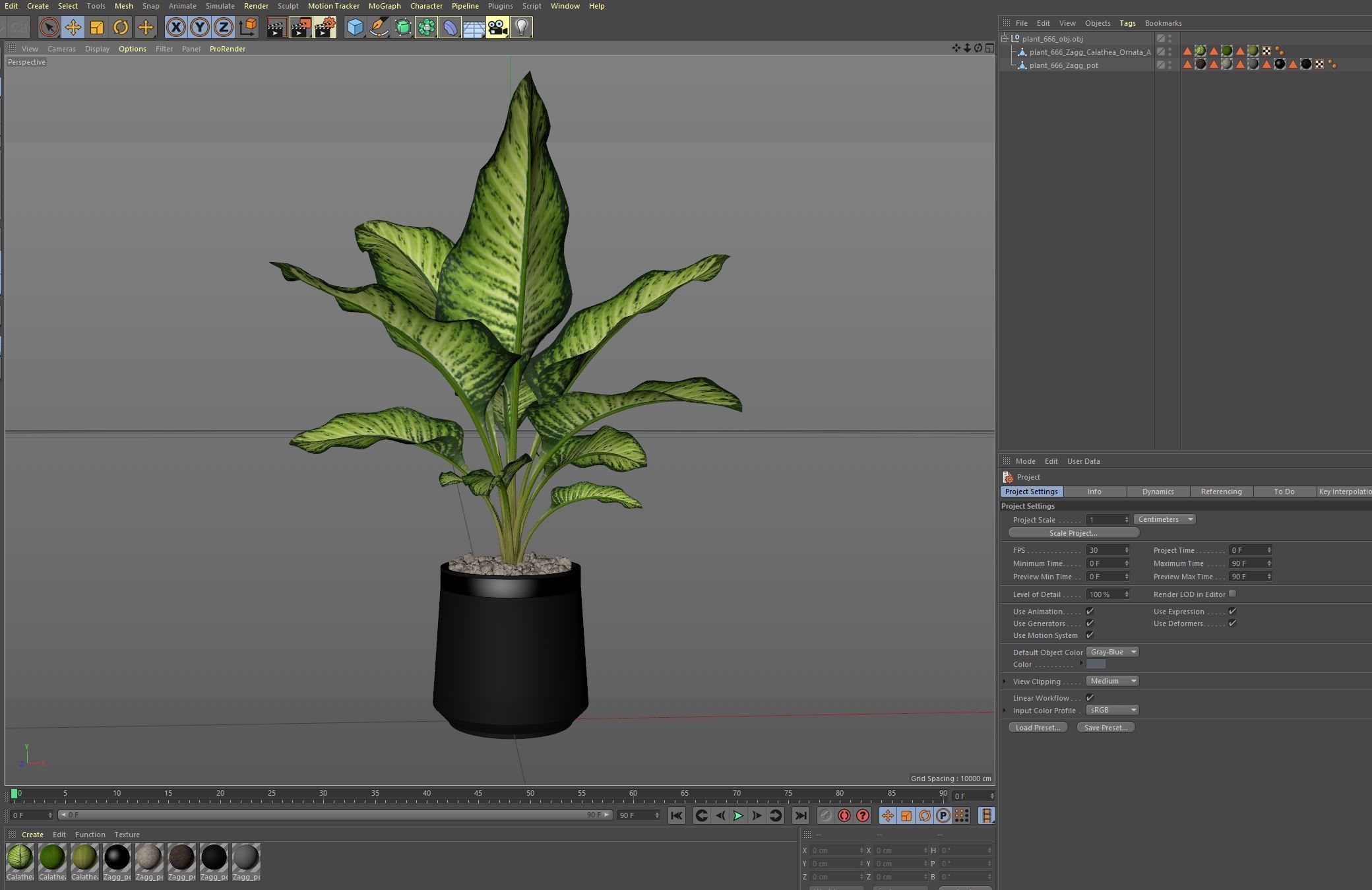 Plants collection 666 3D model_6