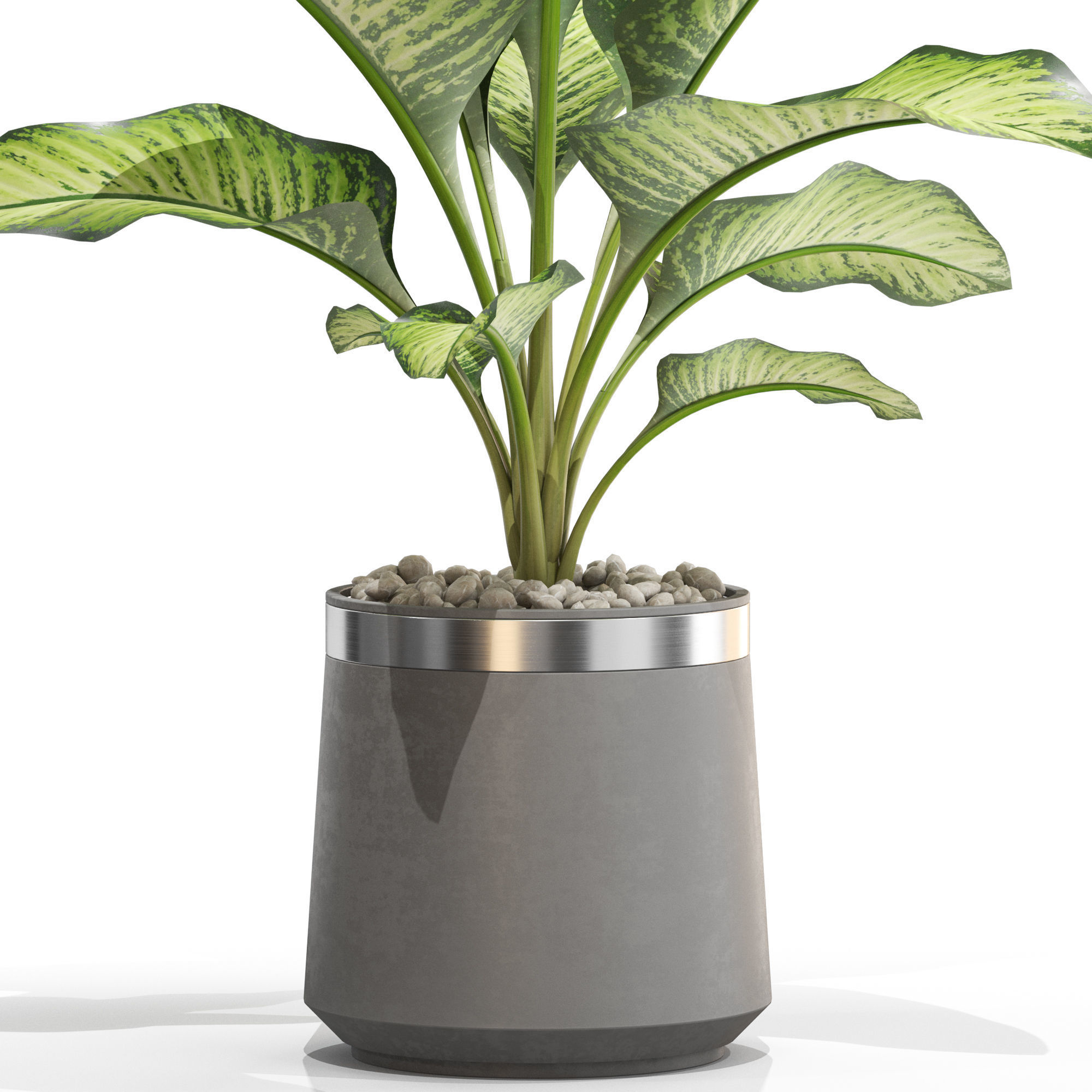 Plants collection 666 3D model_1