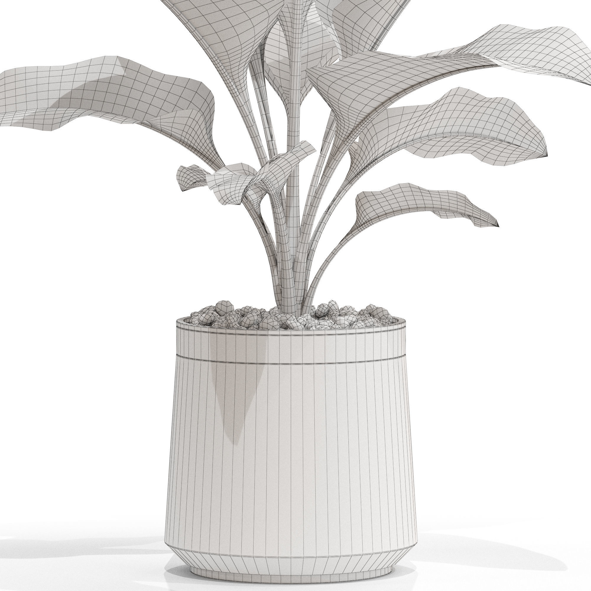 Plants collection 666 3D model_4