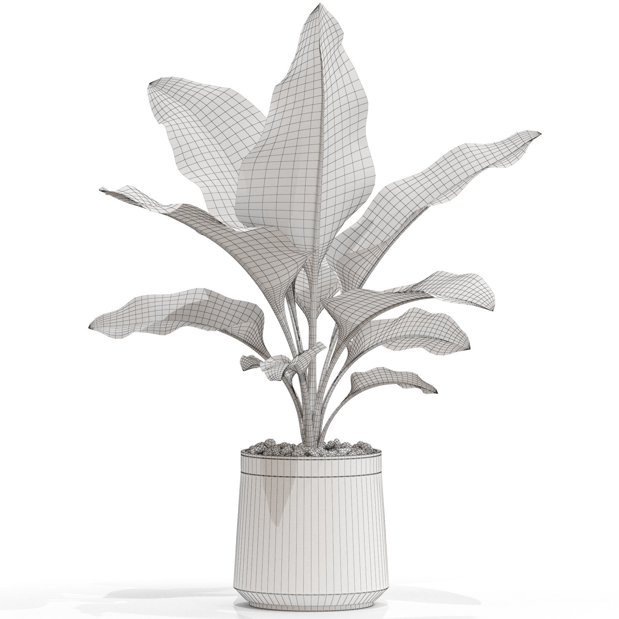 Plants collection 666 3D model_3