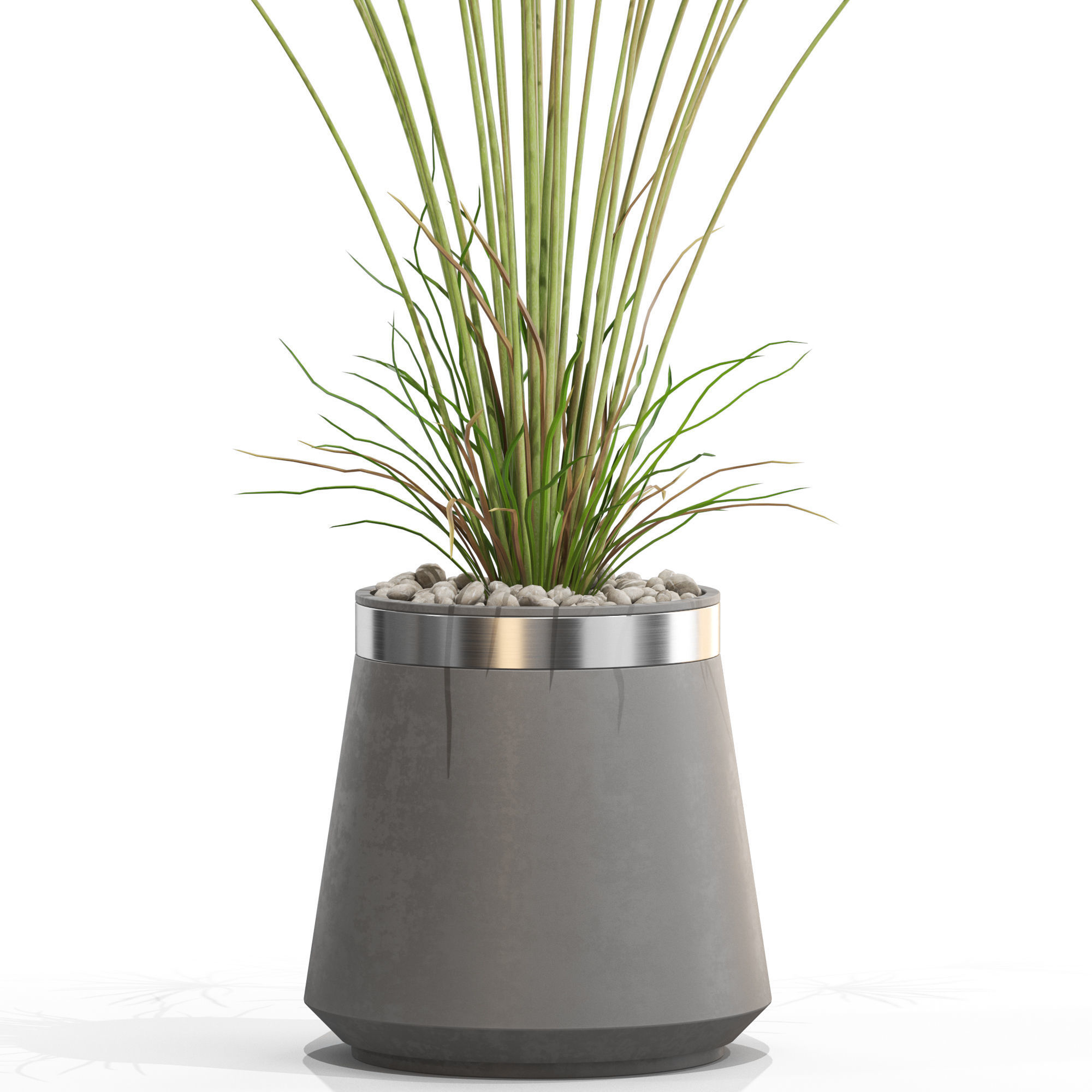 Plants collection 667 3D model_1