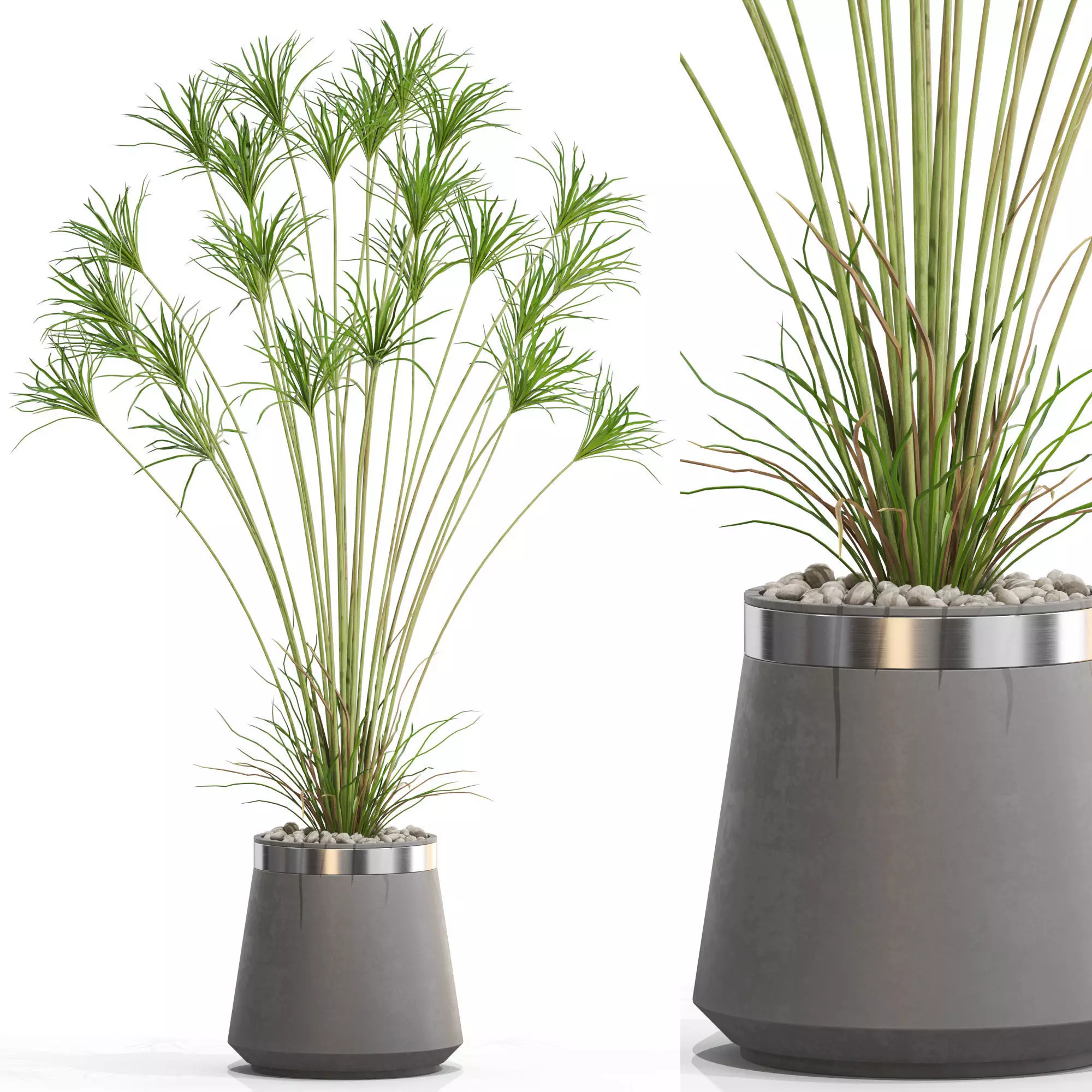 Plants collection 667 3D model_0