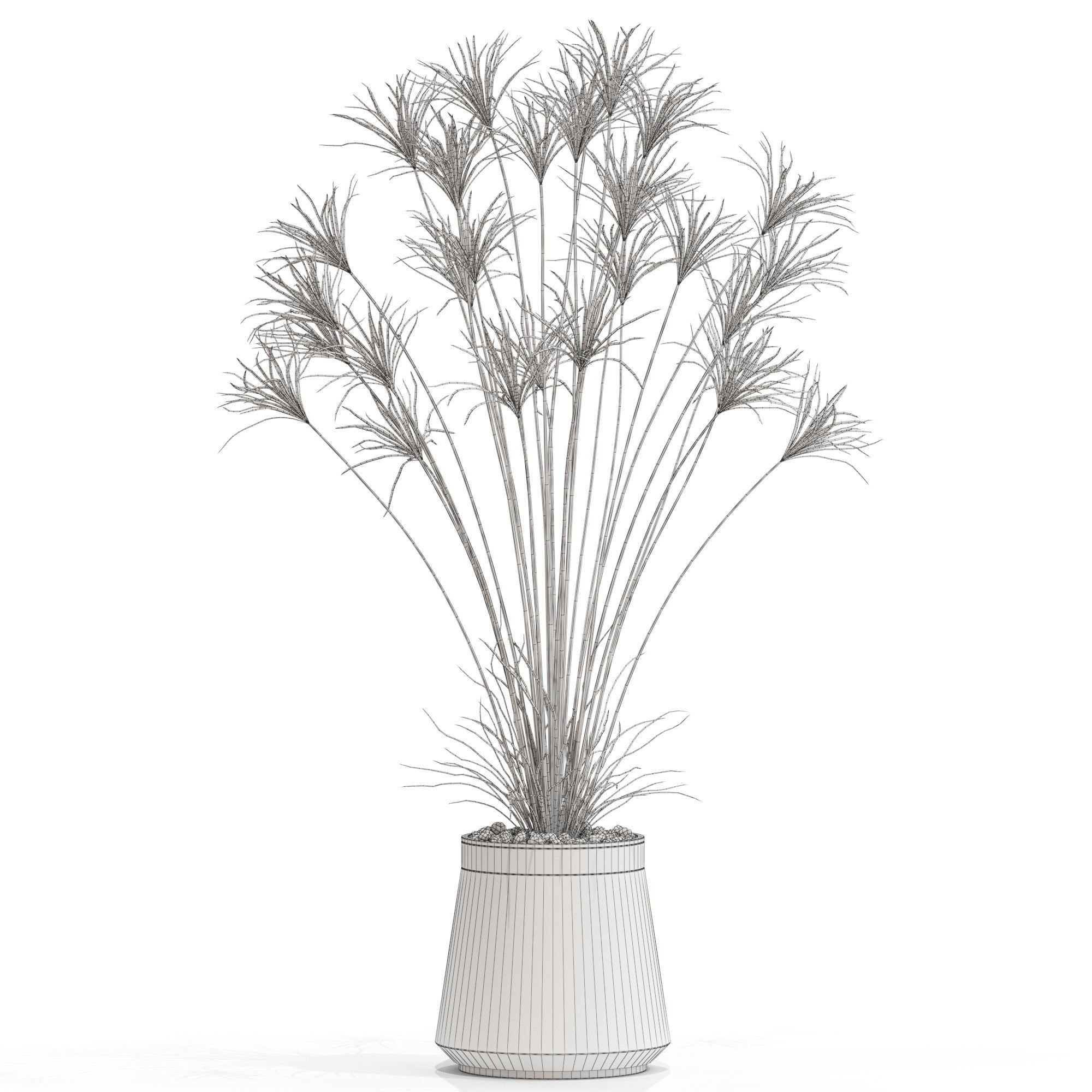 Plants collection 667 3D model_3
