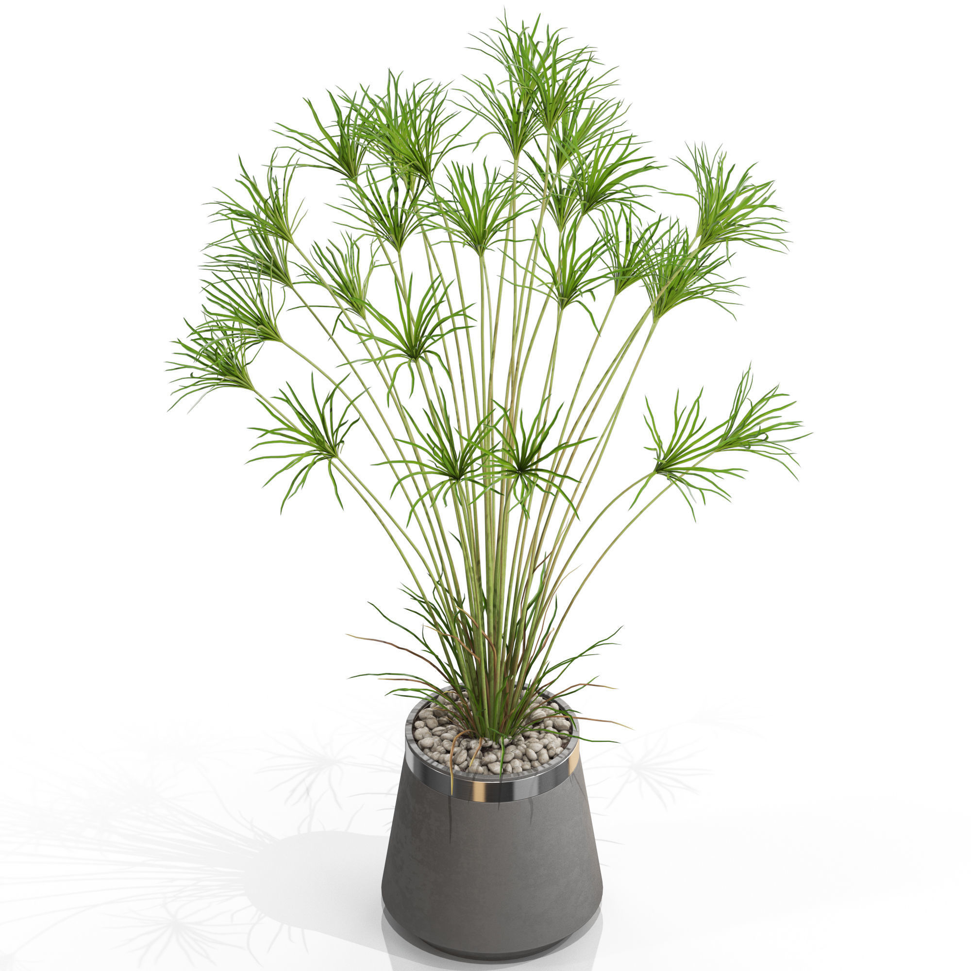 Plants collection 667 3D model_2