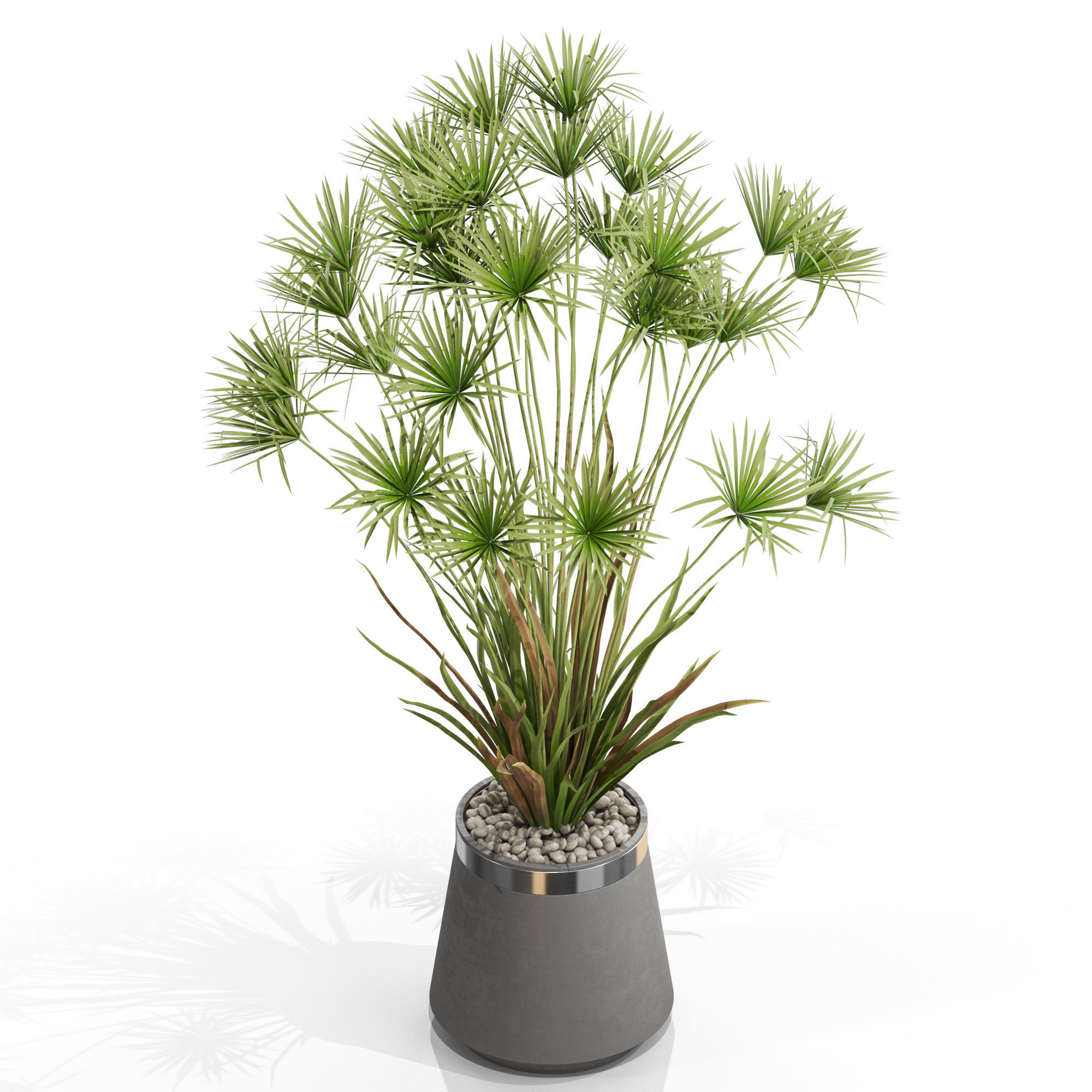 Plants collection 668 3D model_2