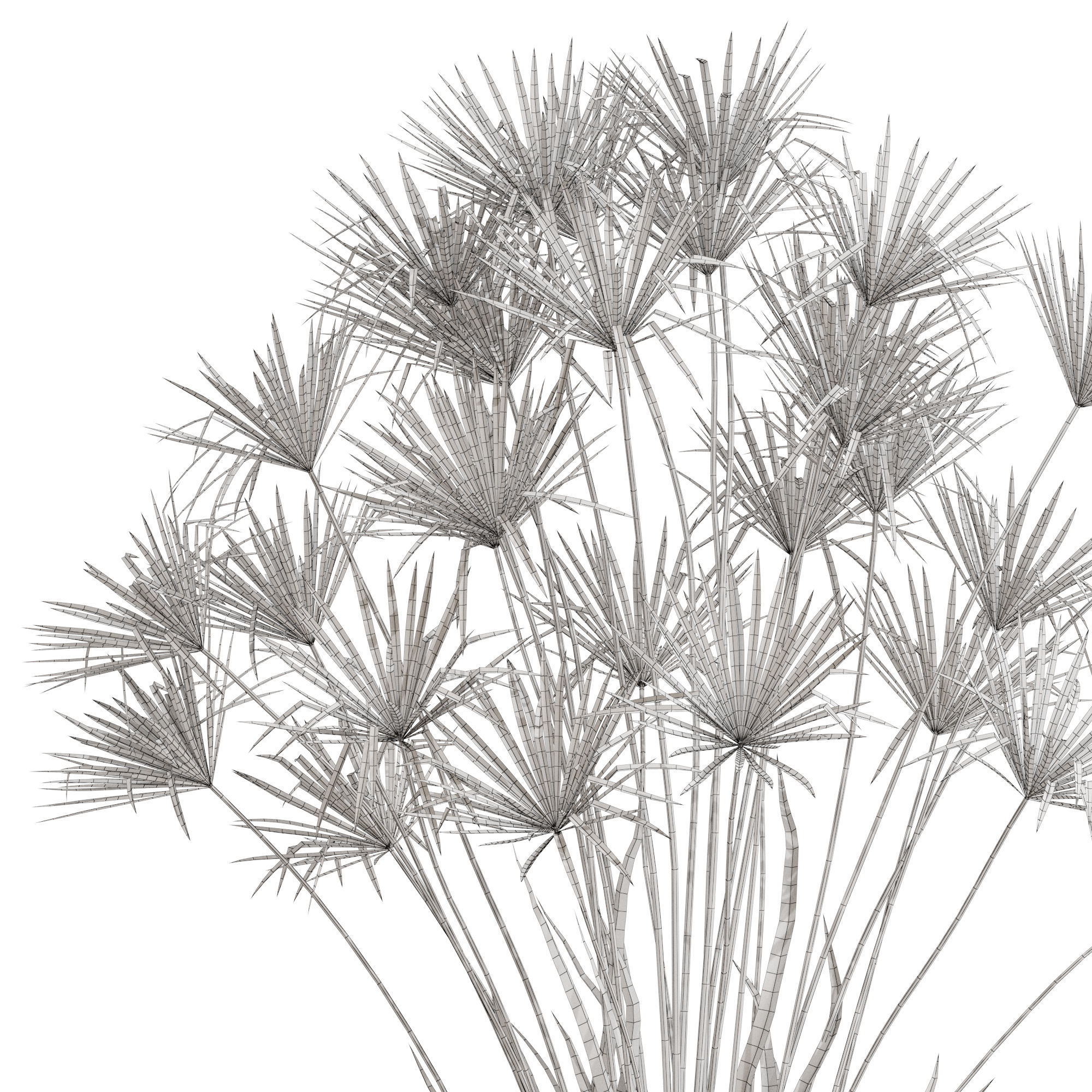 Plants collection 668 3D model_4
