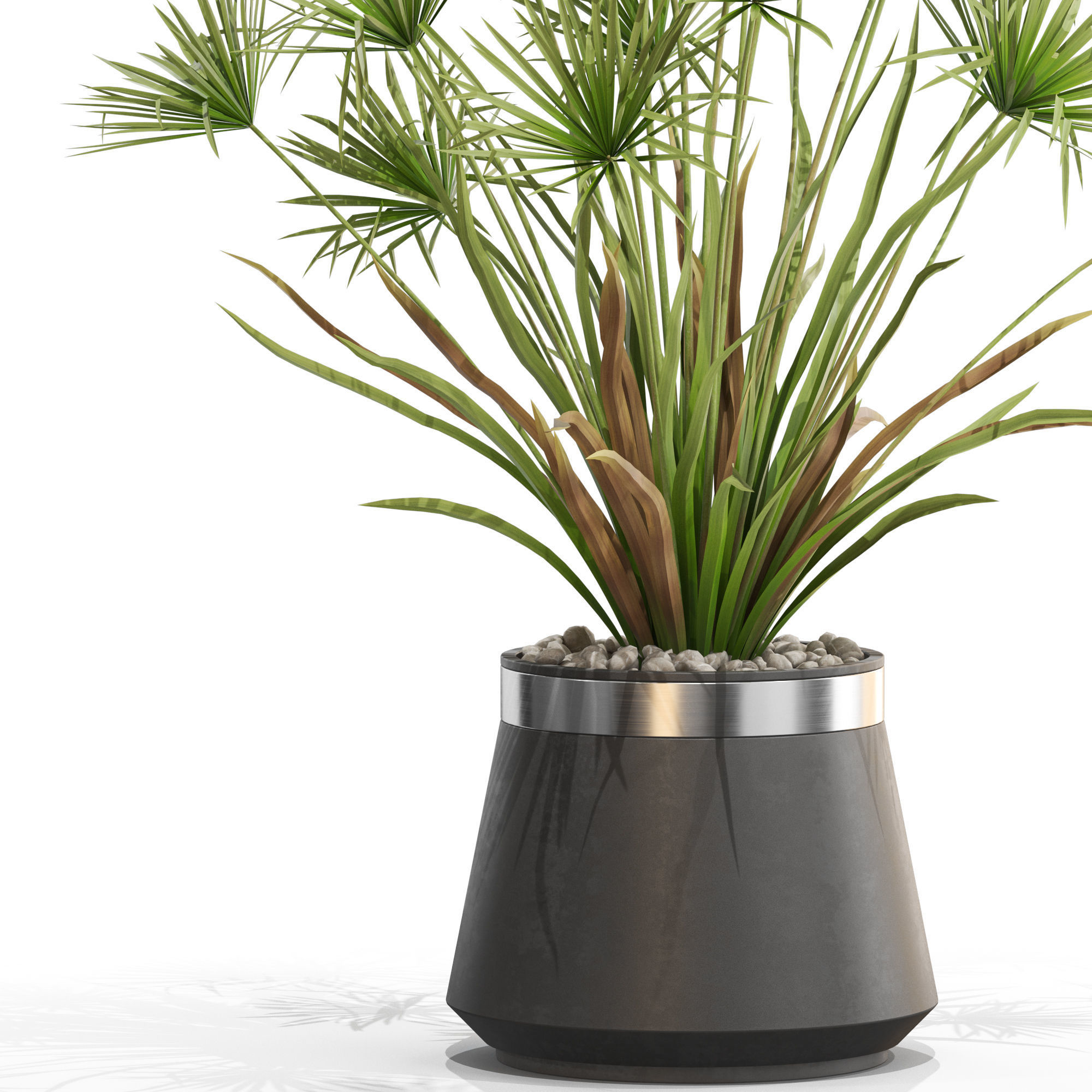 Plants collection 669 3D model_1