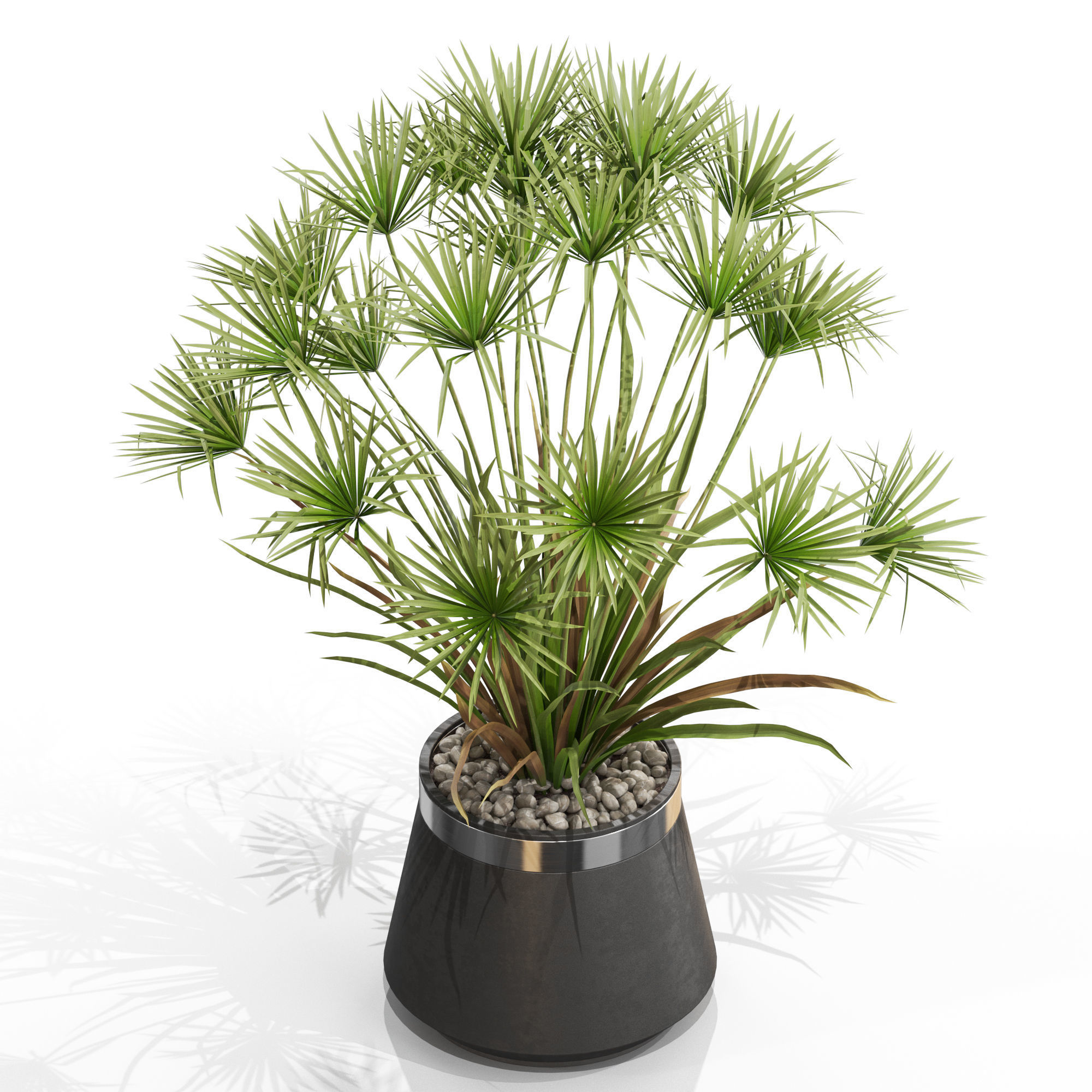 Plants collection 669 3D model_2