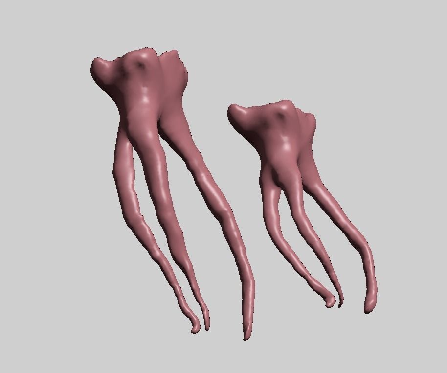 D009 Teeth anatomy 2 piece and solid pulp data for editing  3D print model_7